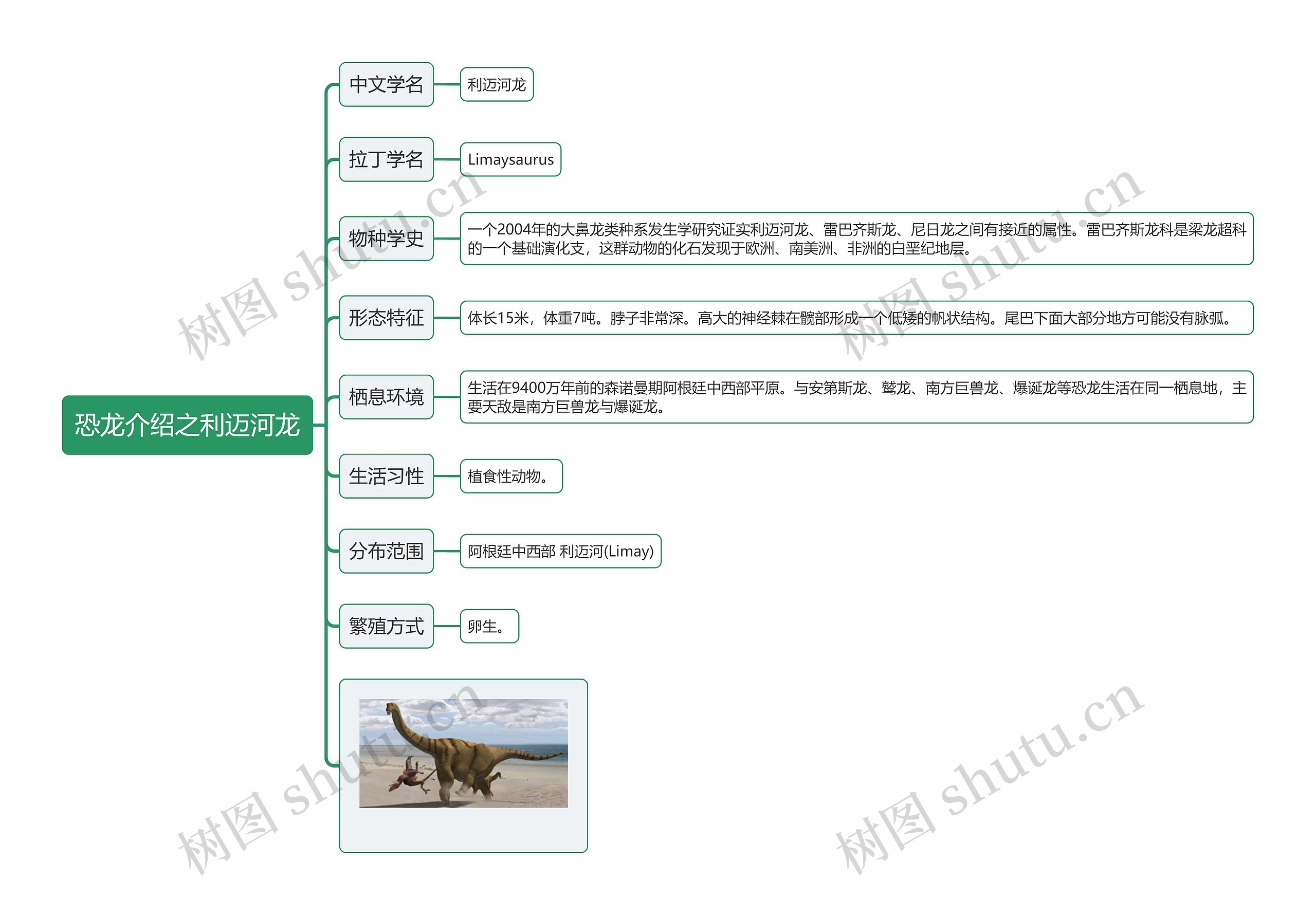 恐龙介绍之利迈河龙思维导图