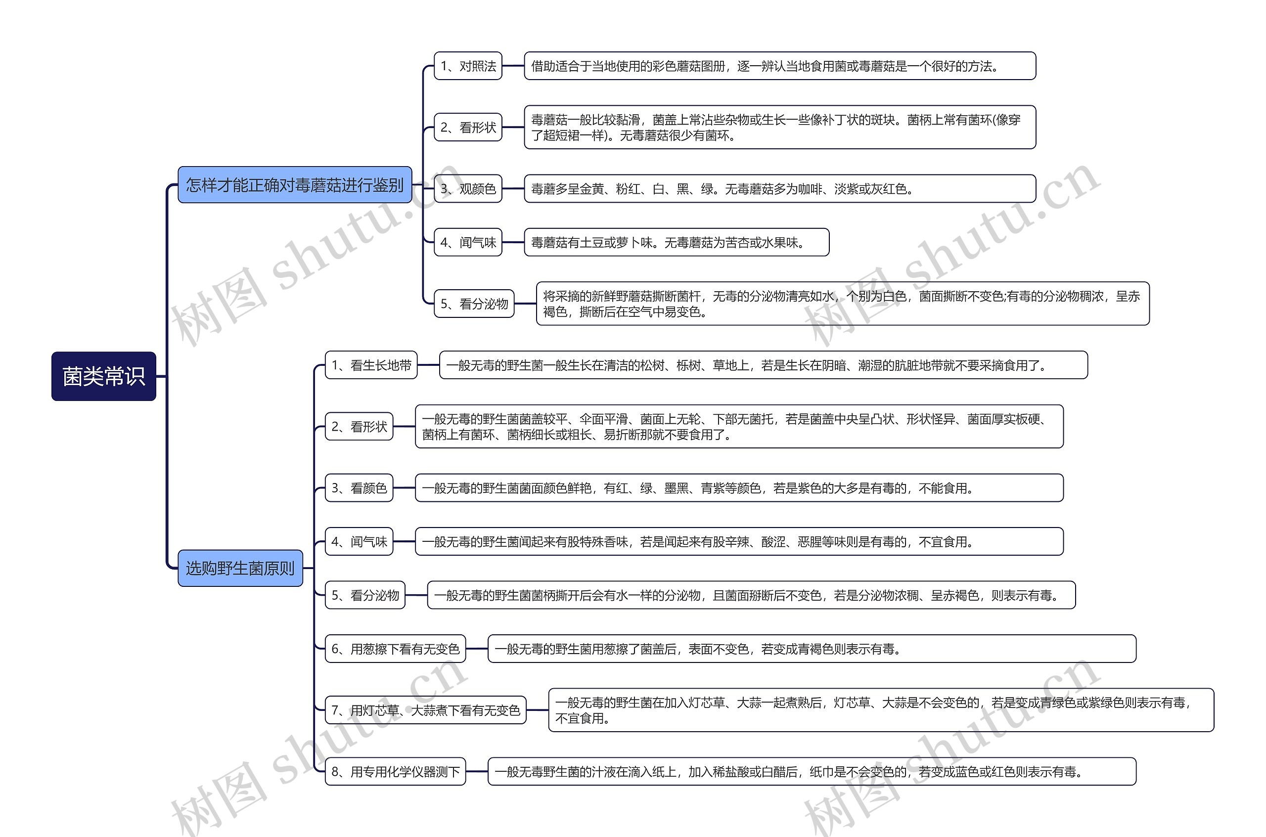 菌类常识思维导图