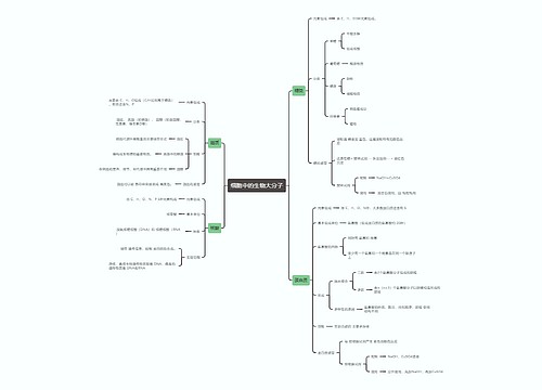 生物必修一  细胞中的生物大分子