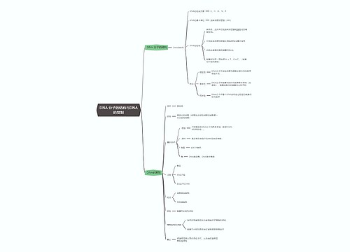 生物必修二   DNA 分子的结构与DNA的复制