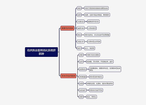 临床执业医师消化系统肝脓肿思维导图