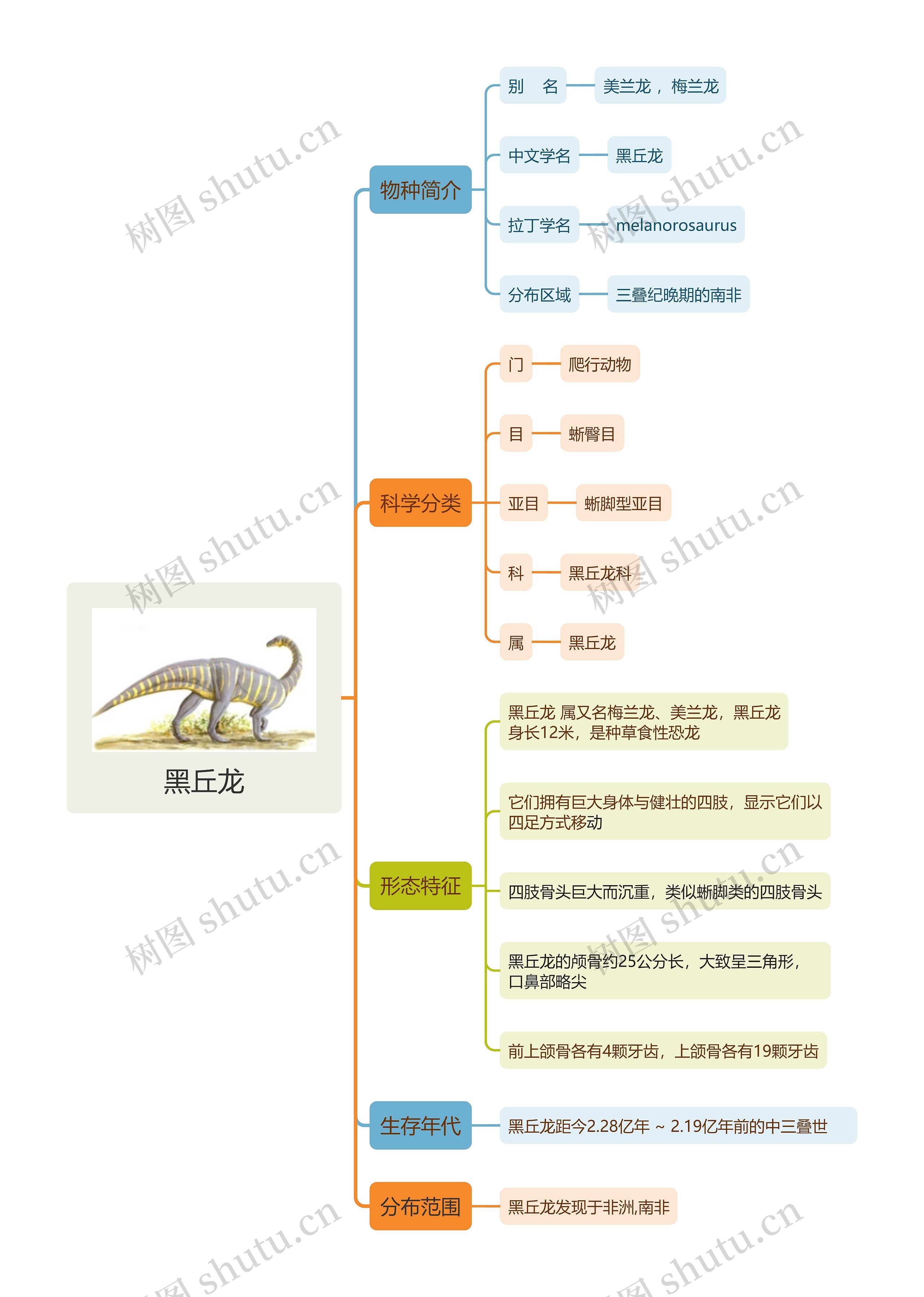 黑丘龙思维导图