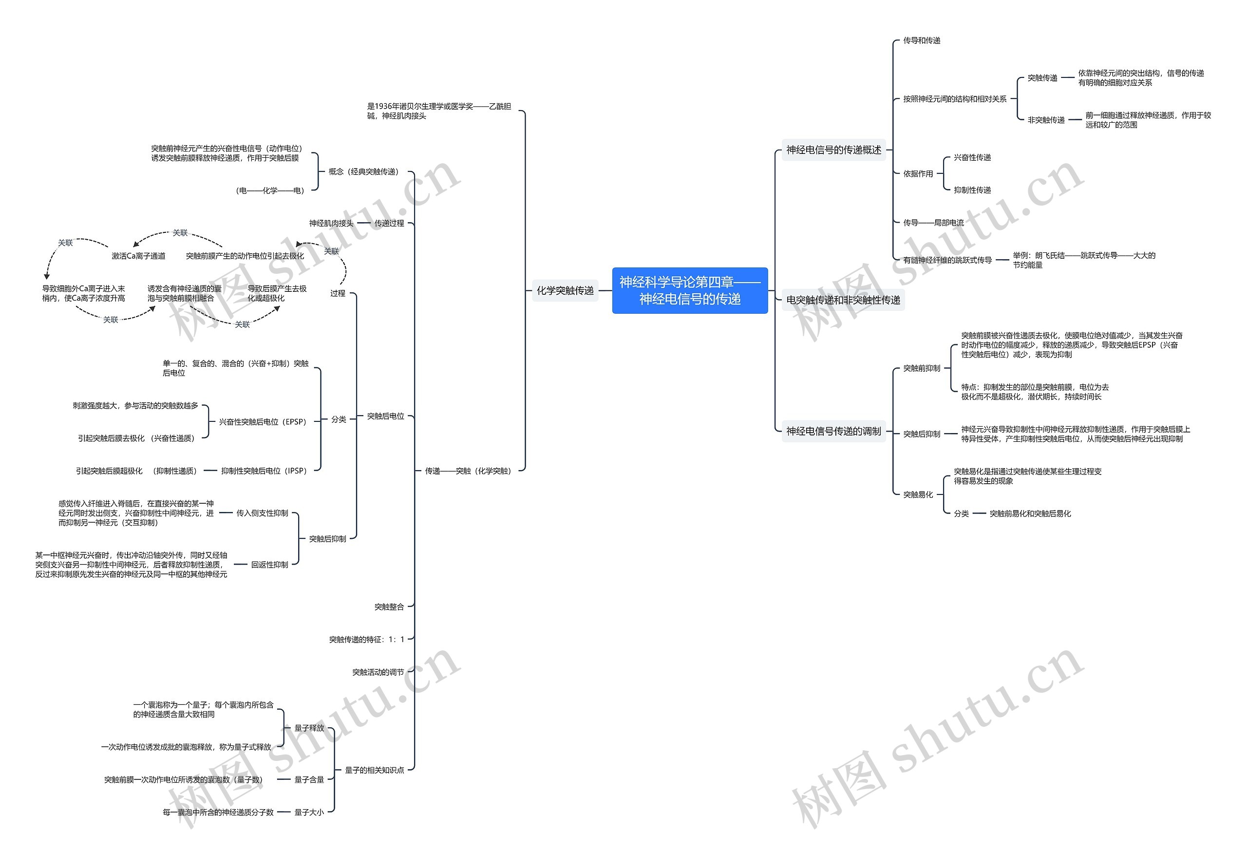 神经科学导论第四章之神经电信号的传递思维导图