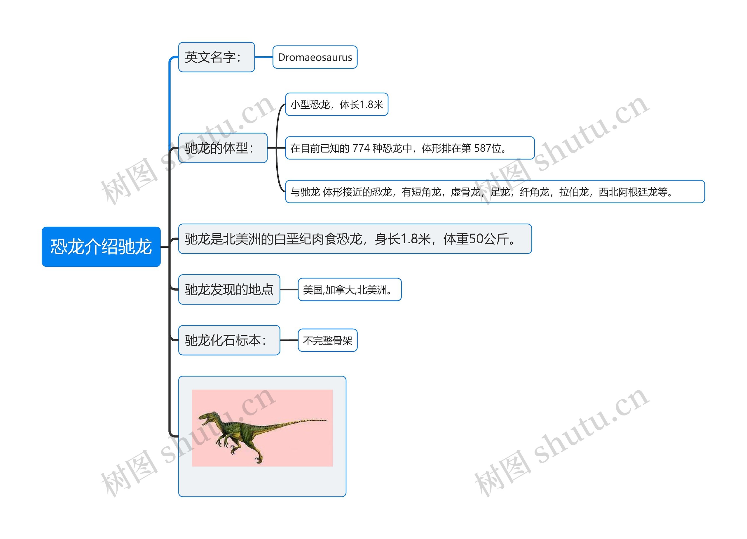 恐龙介绍驰龙