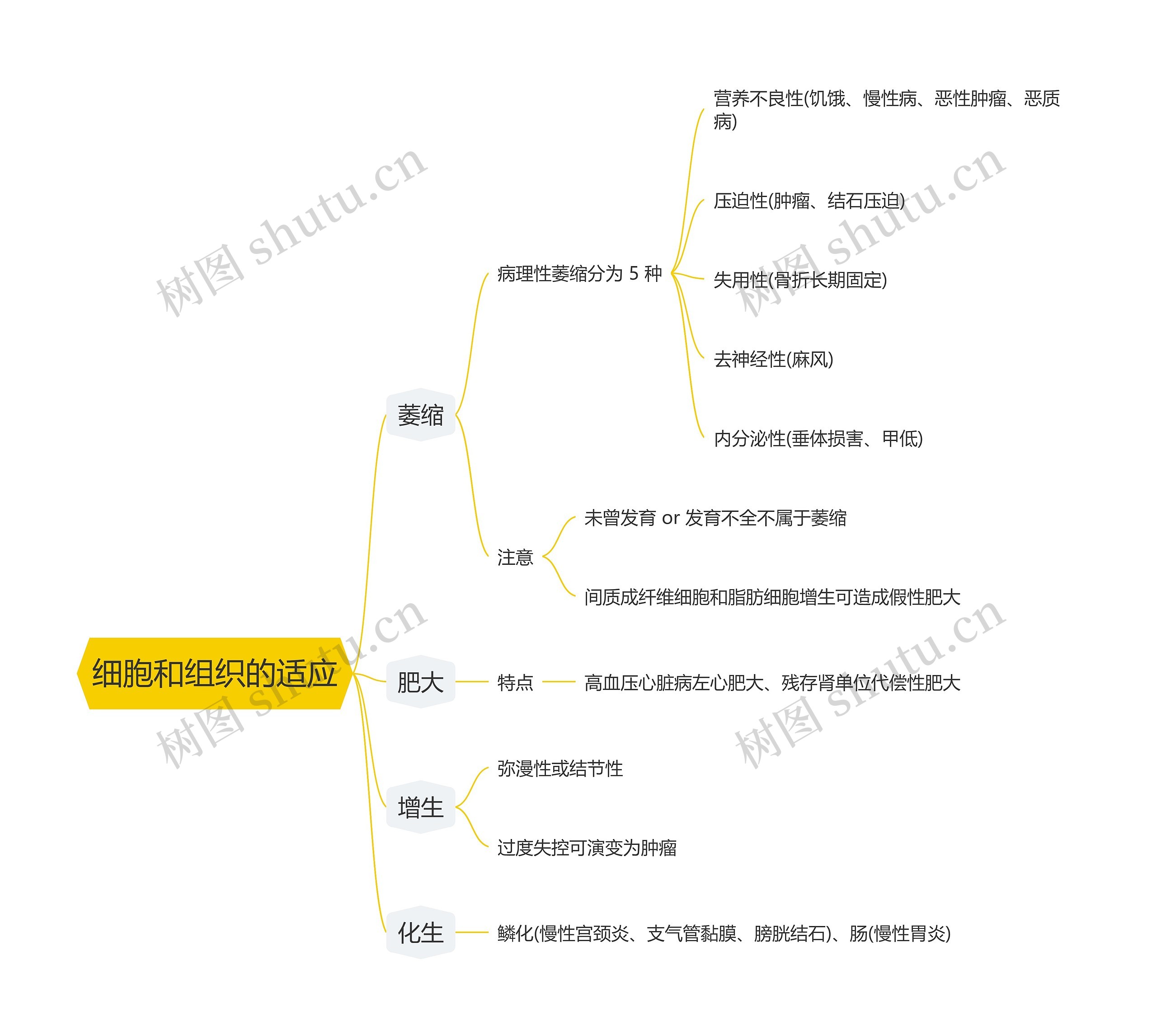 细胞和组织的适应思维导图