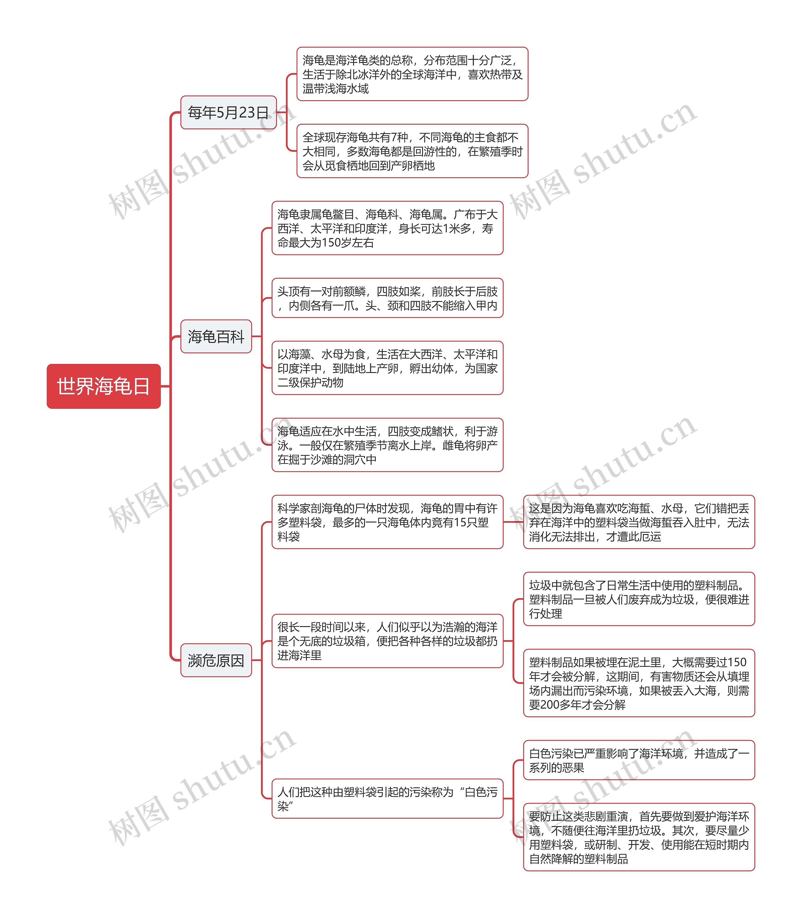 世界海龟日思维导图高清图 世界海龟日思维导图