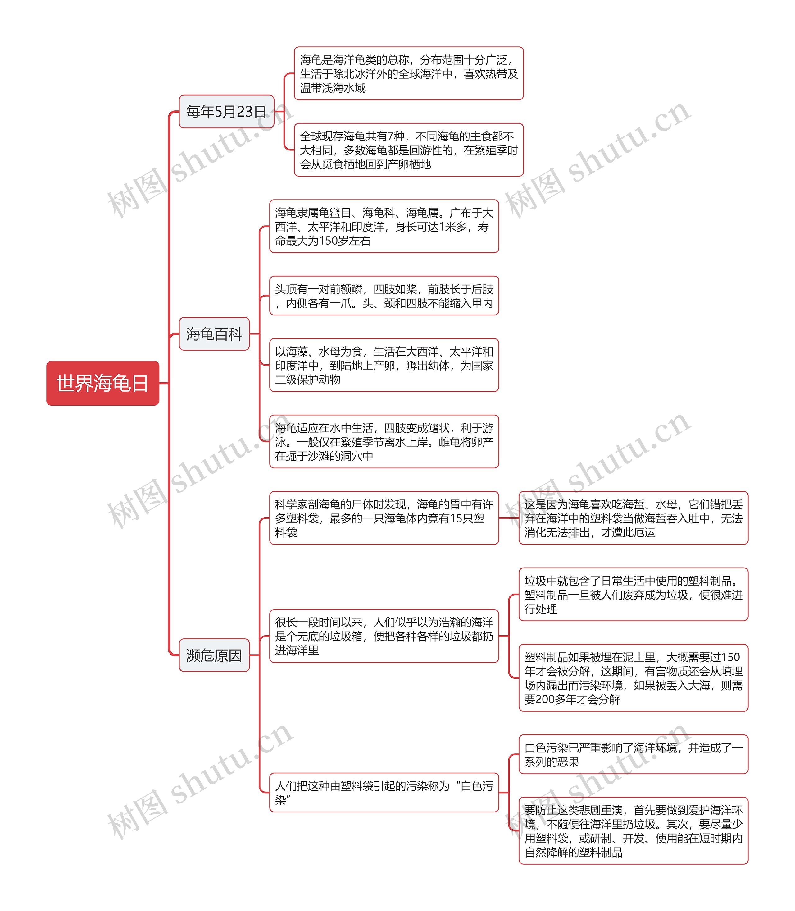 世界海龟日思维导图