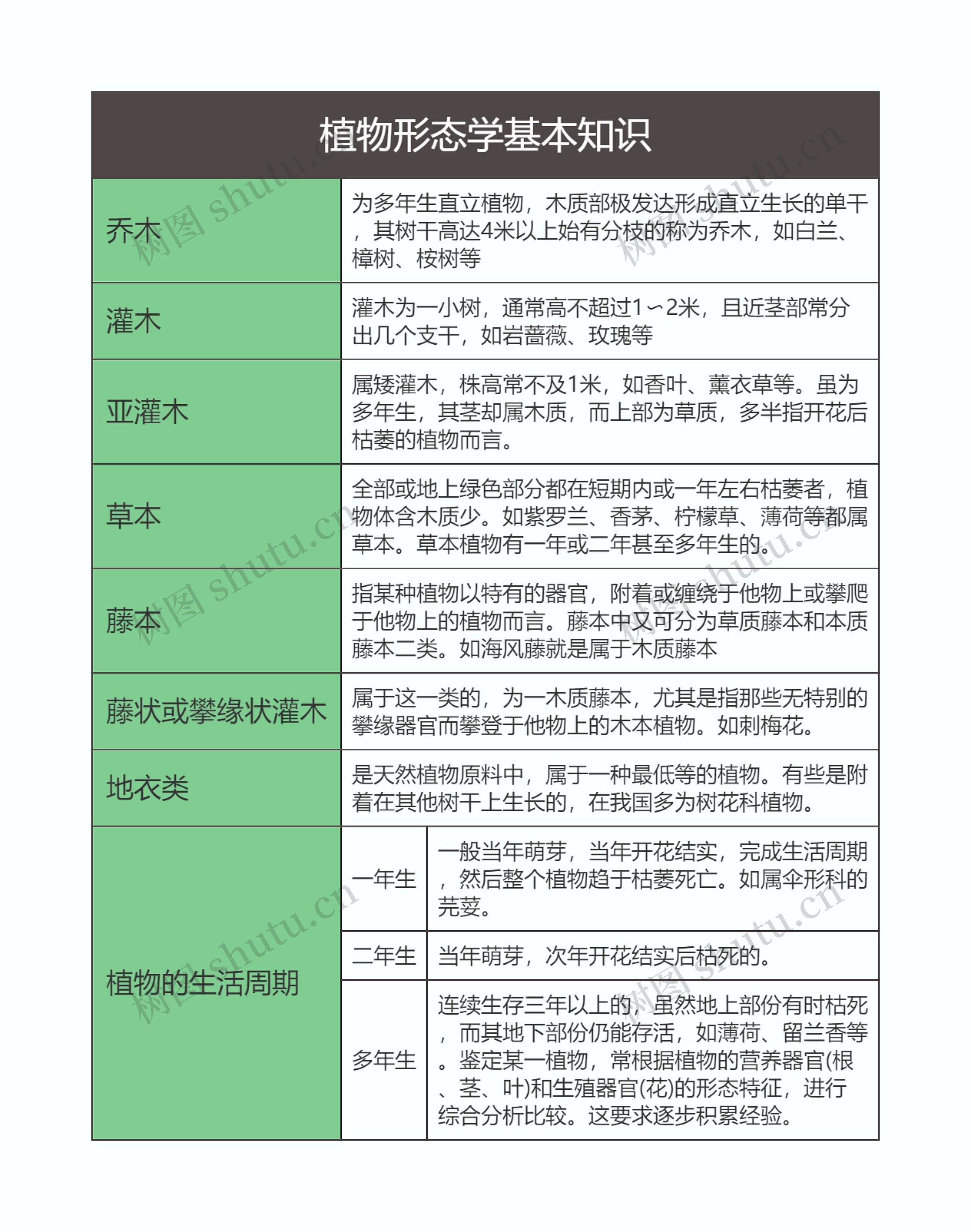 植物形态学基本知识思维导图