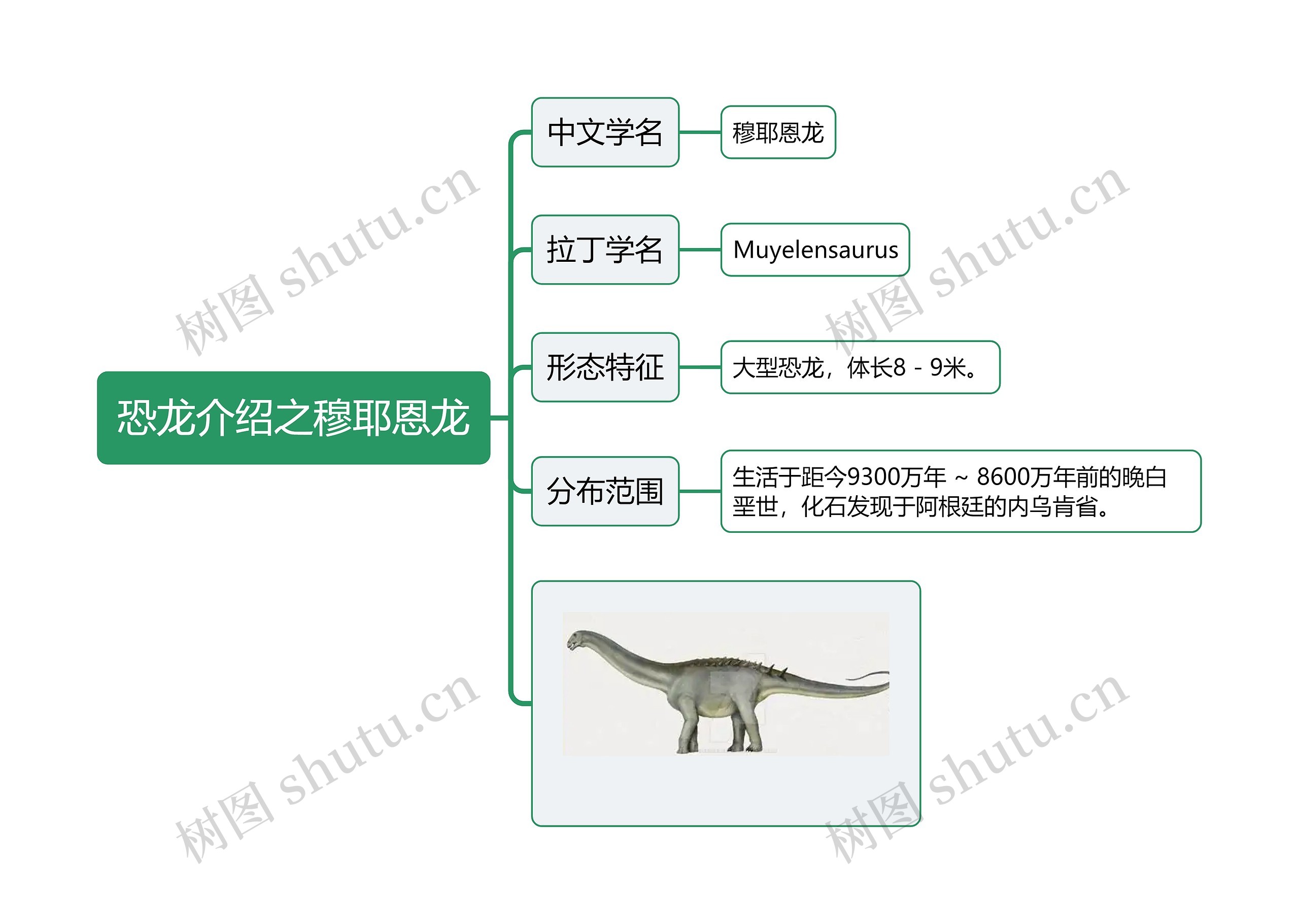 恐龙介绍之穆耶恩龙思维导图