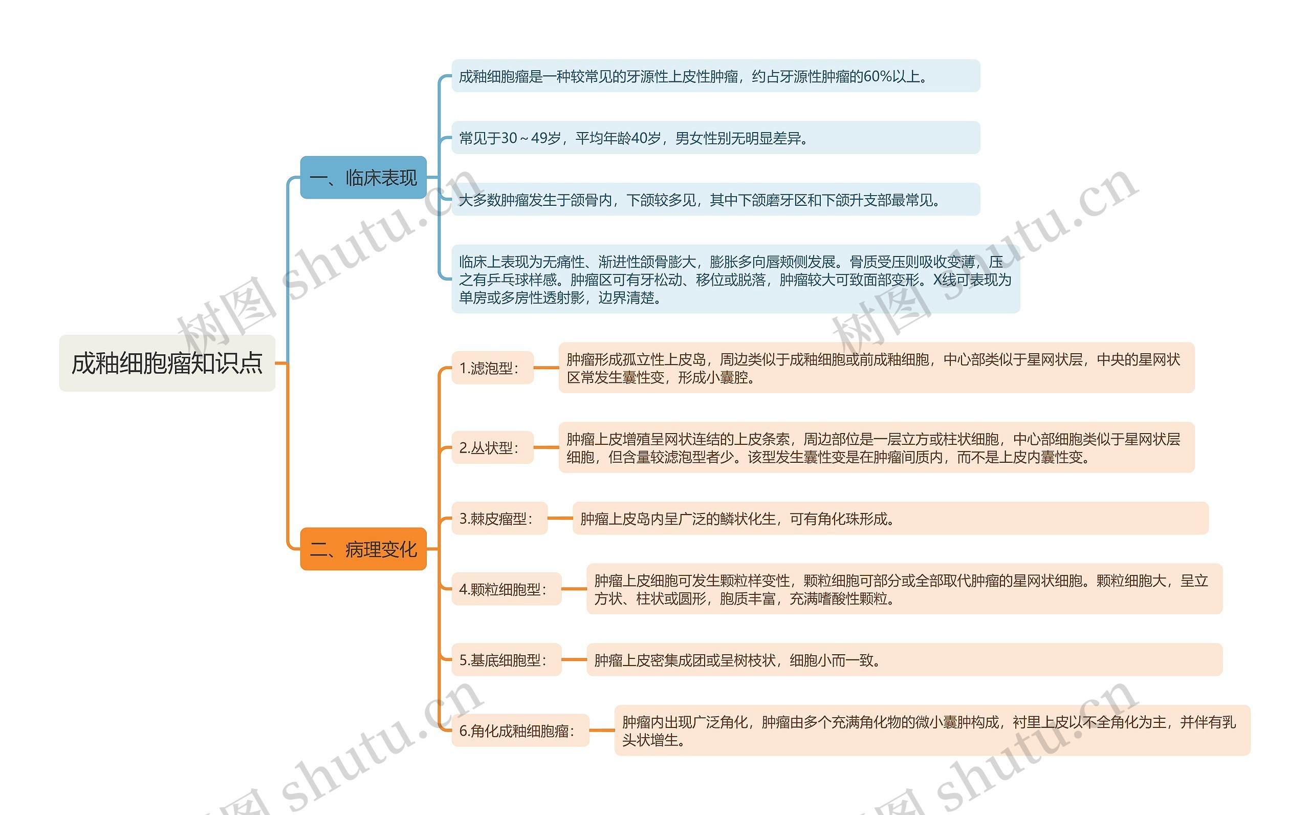 成釉细胞瘤知识点思维导图