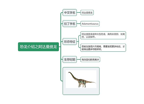 恐龙介绍之阿达曼提龙思维导图