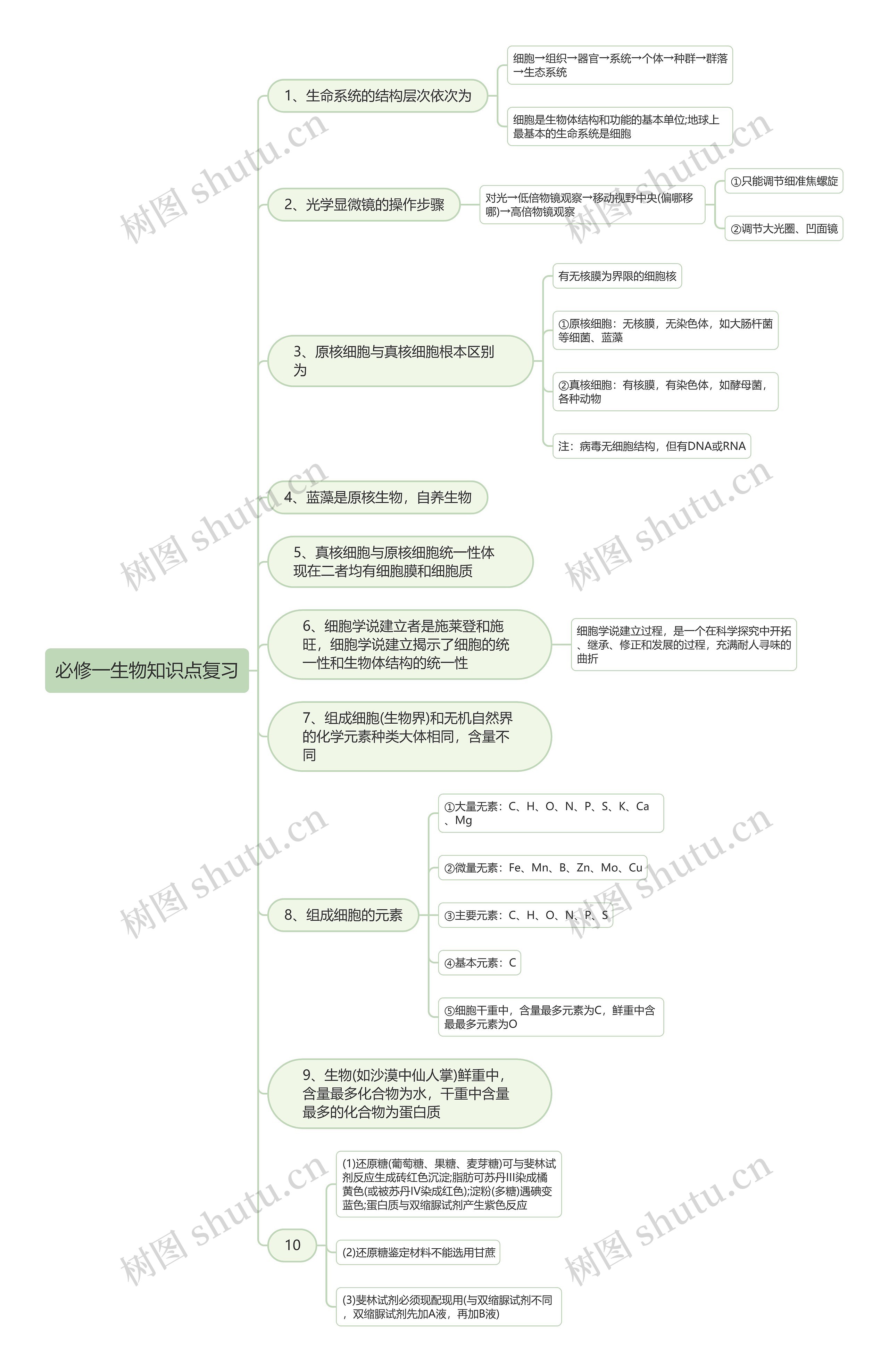 必修一生物知识点复习思维导图