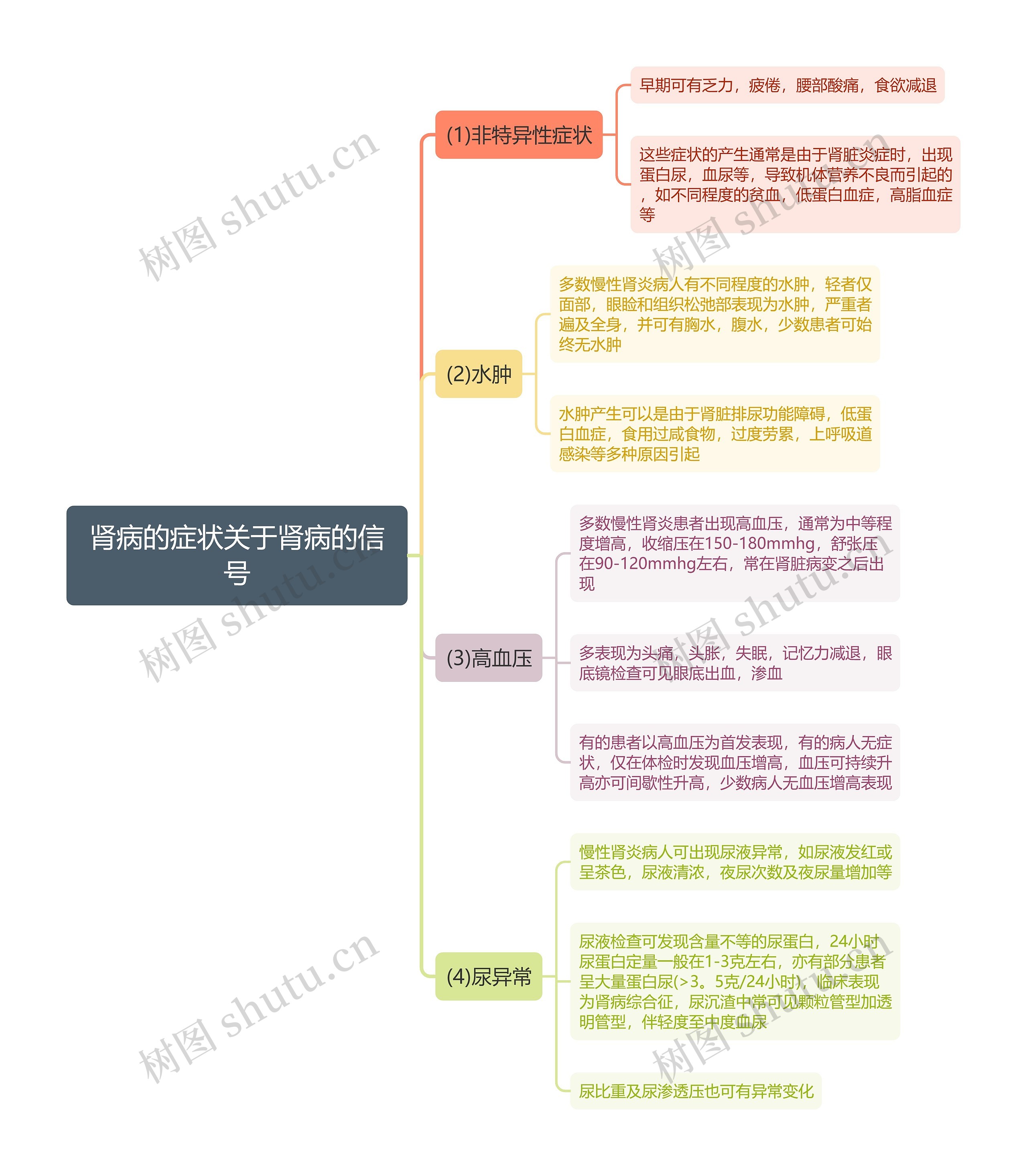 肾病的症状关于肾病的信号思维导图