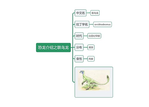 恐龙介绍之联鸟龙思维导图