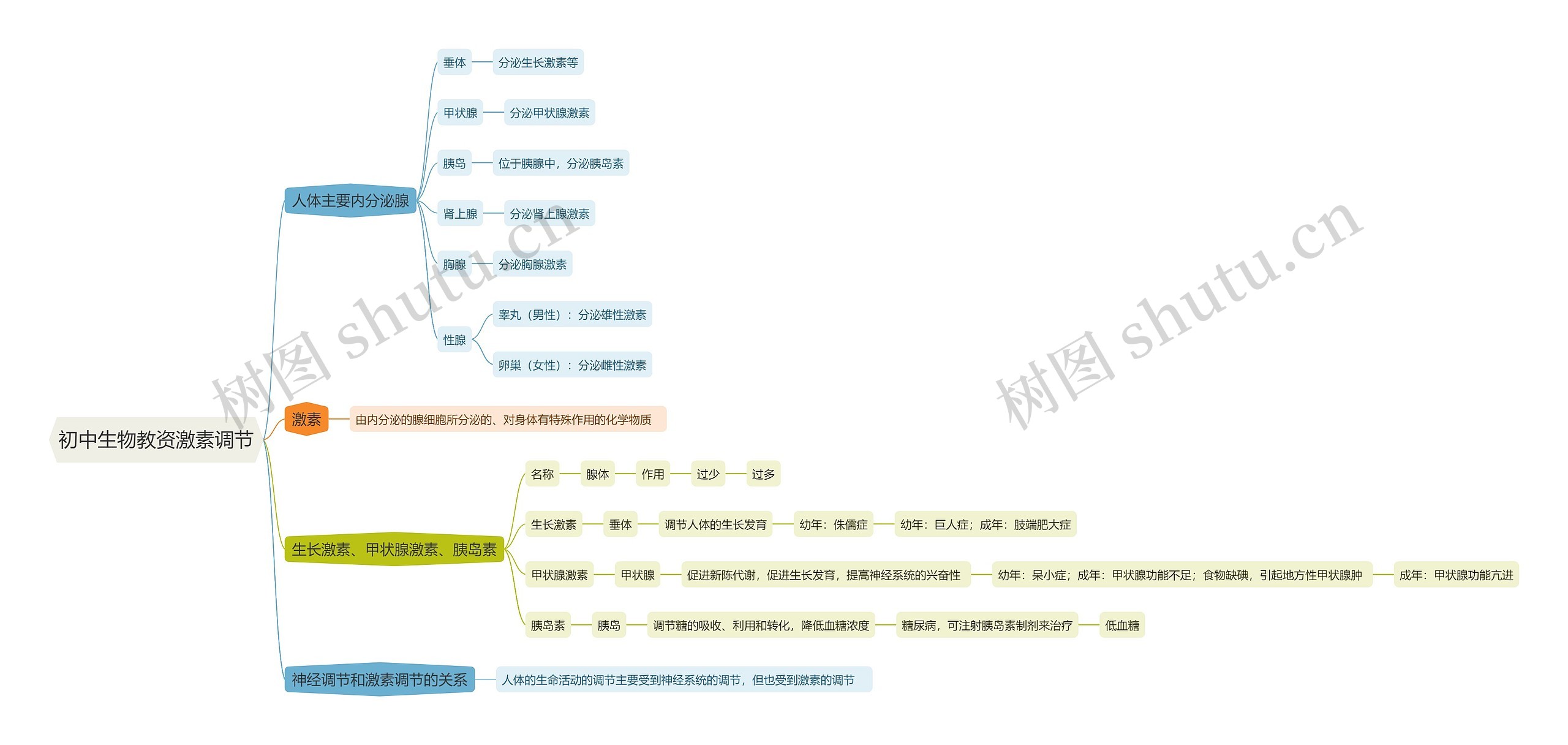 初中生物教资激素调节思维导图