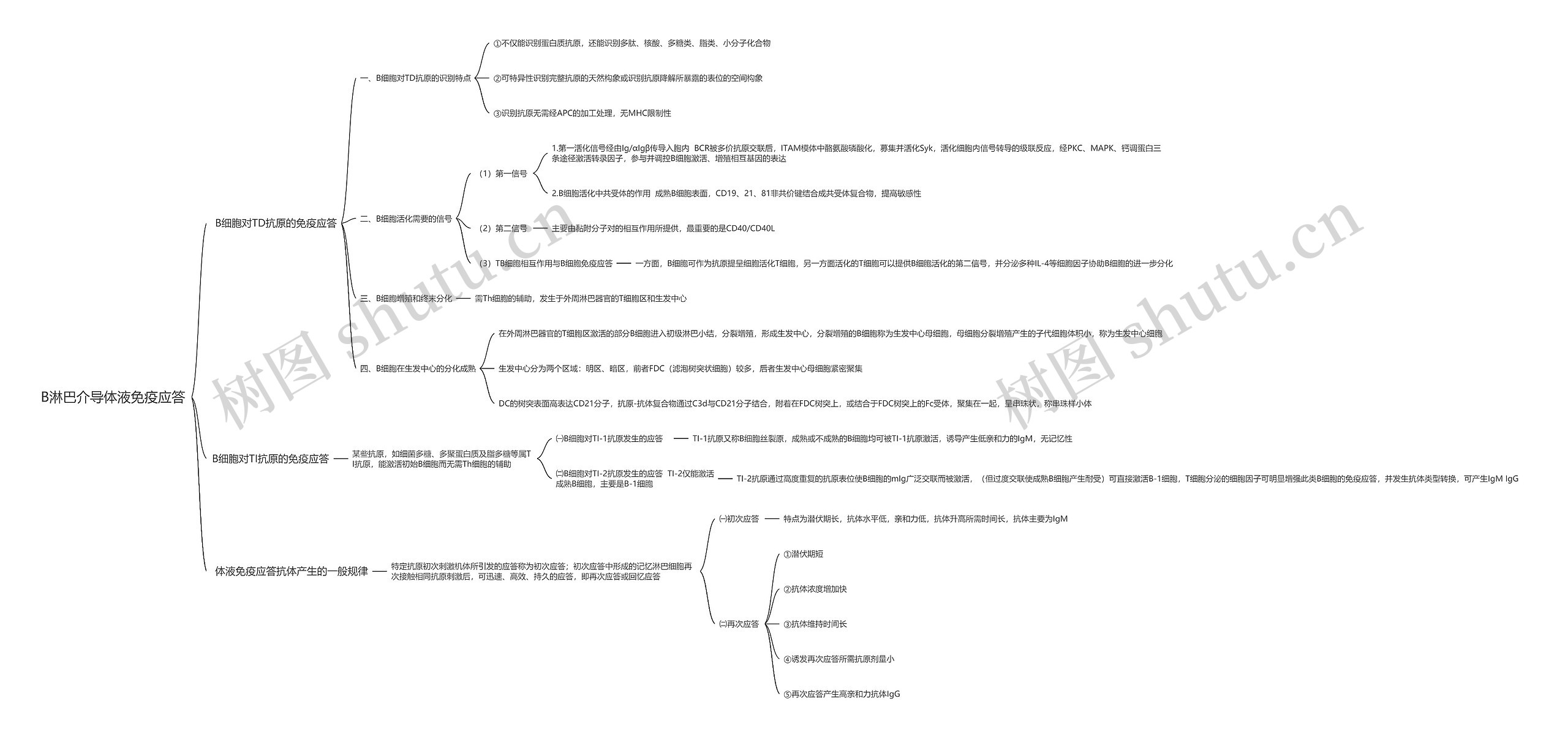 B淋巴介导体液免疫应答思维导图