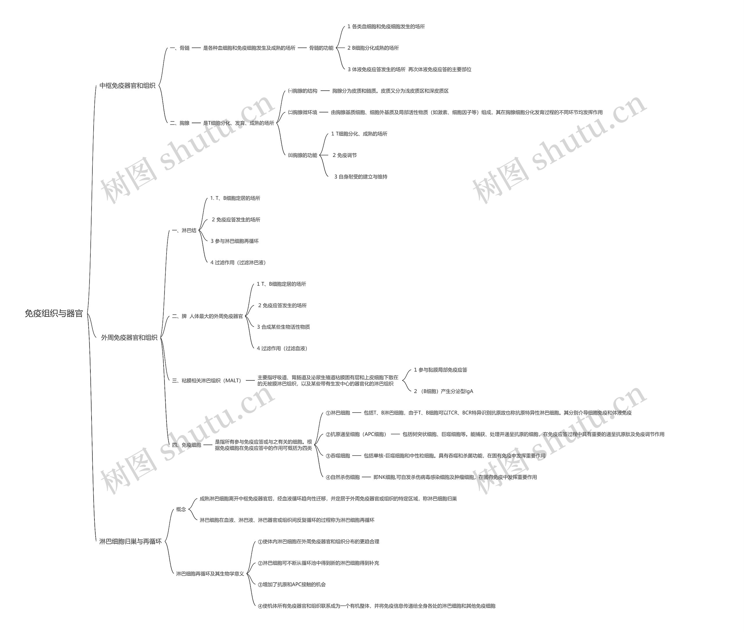 免疫组织与器官思维导图