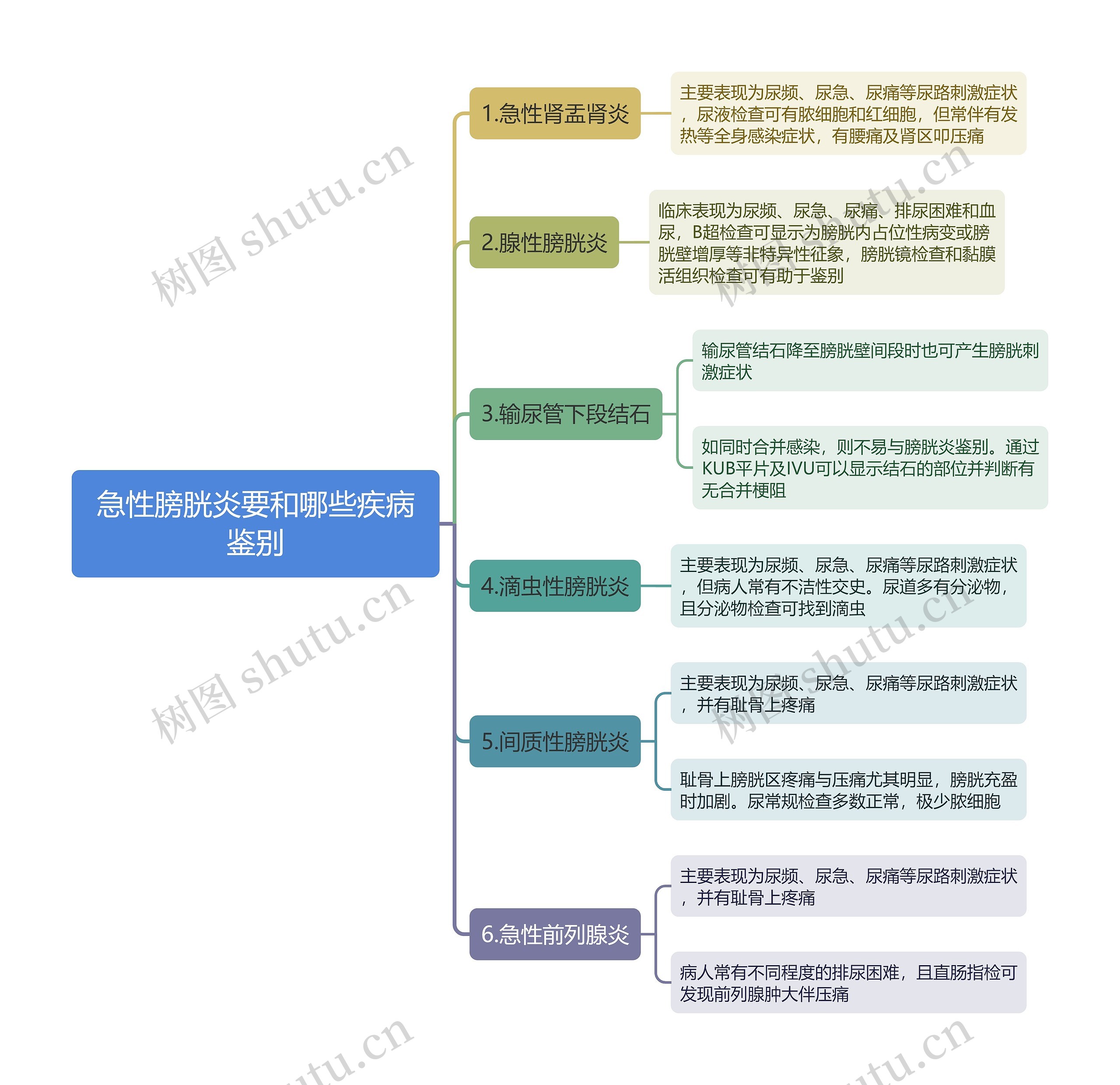 急性膀胱炎要和哪些疾病鉴别思维导图