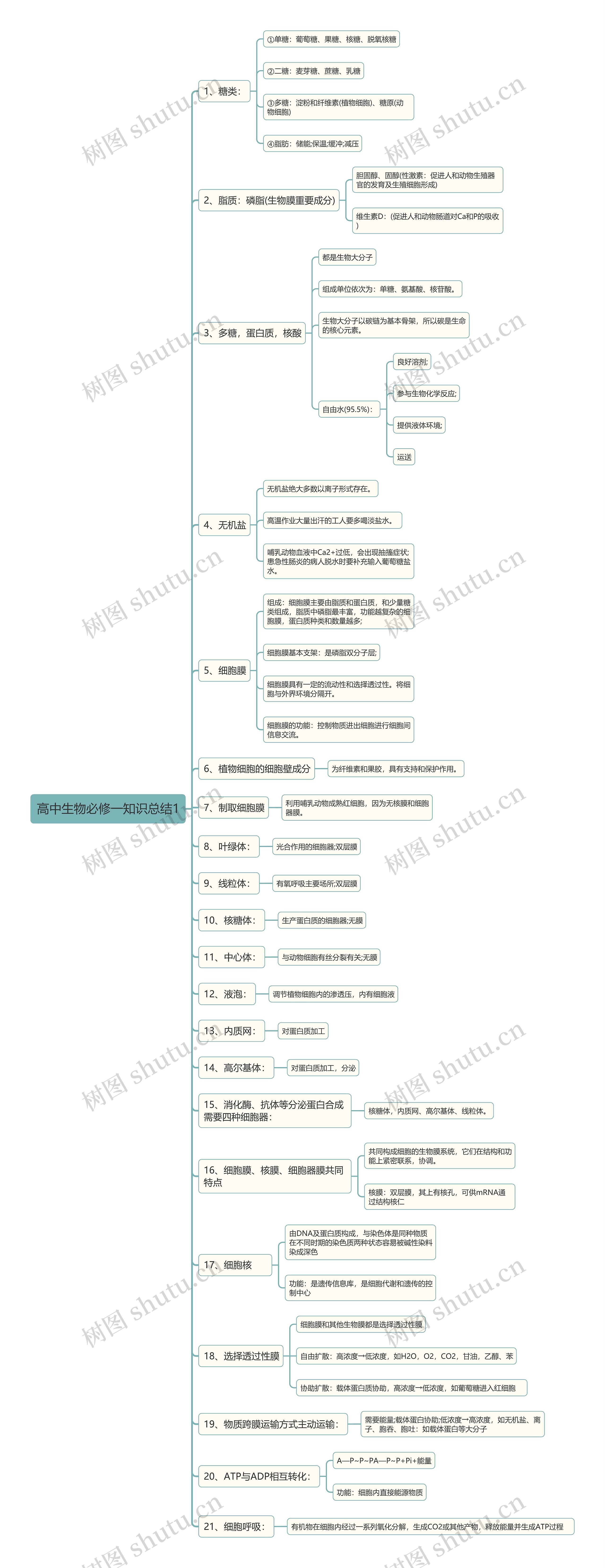 高中生物必修一知识总结思维导图