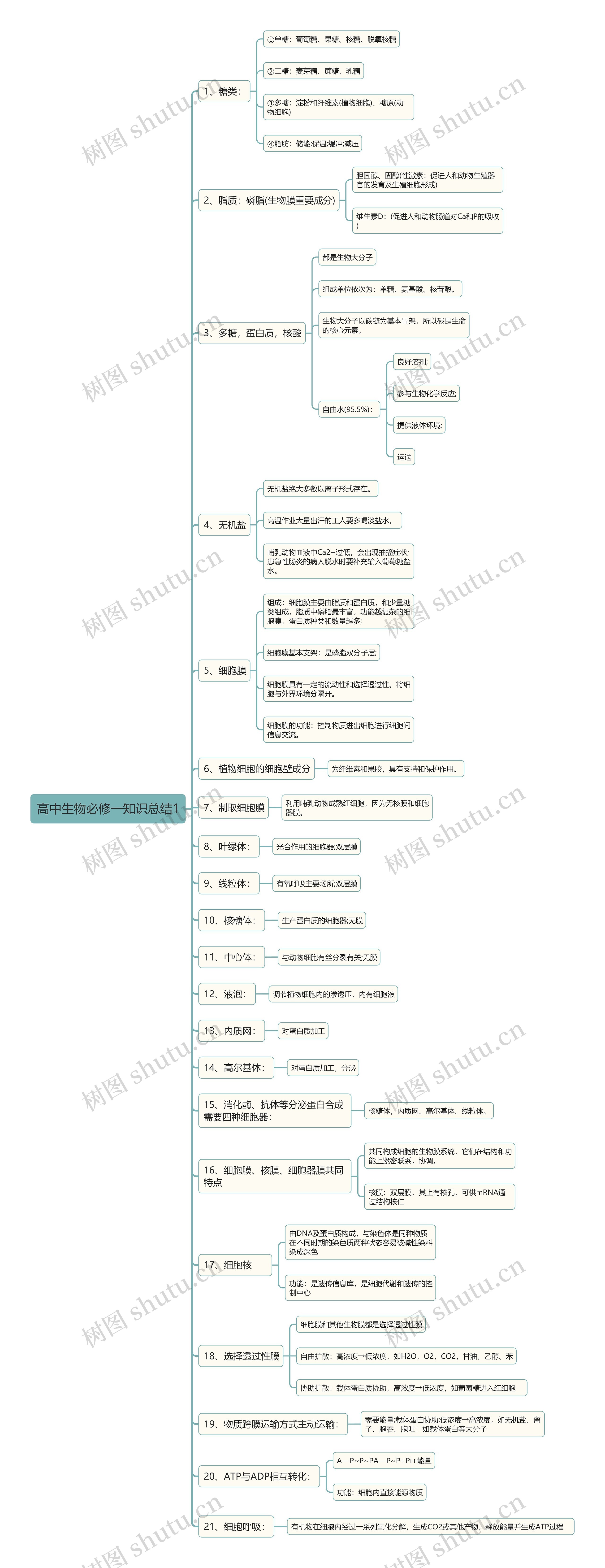 高中生物必修一知识总结思维导图_编号t1368720-TreeMind树图