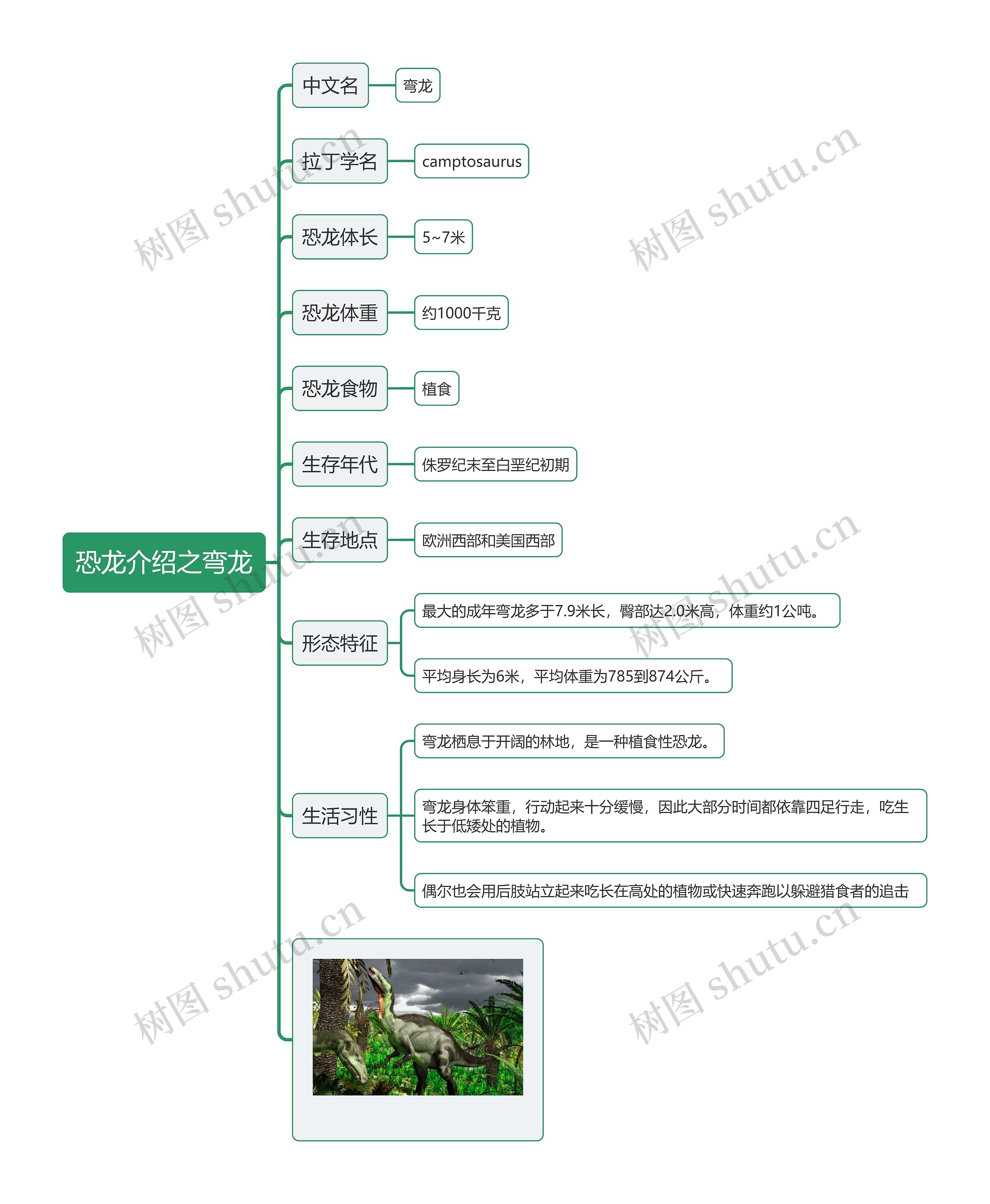 恐龙介绍之弯龙思维导图