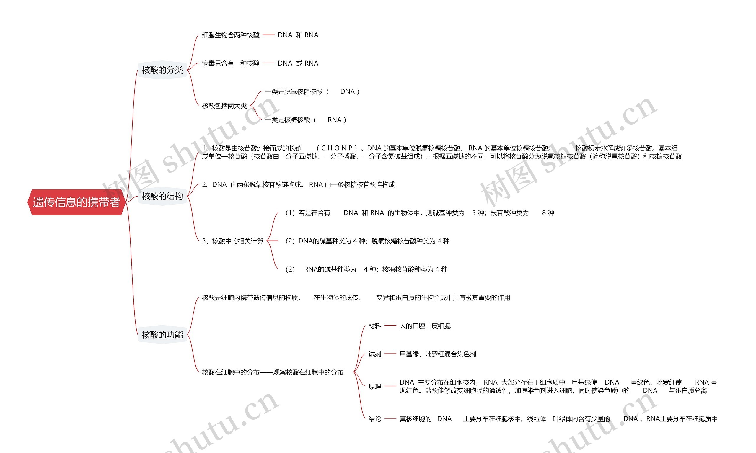 遗传信息的携带者思维导图