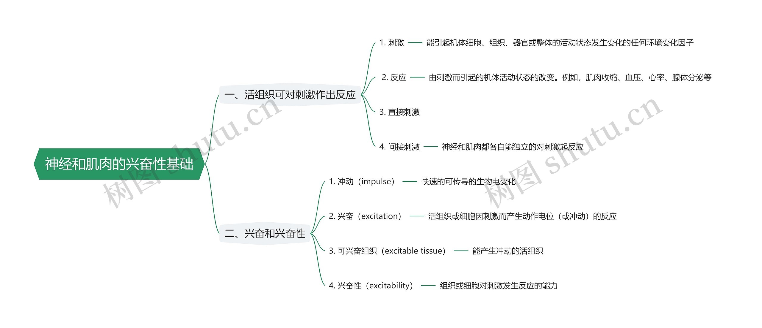 神经和肌肉的兴奋性基础思维导图