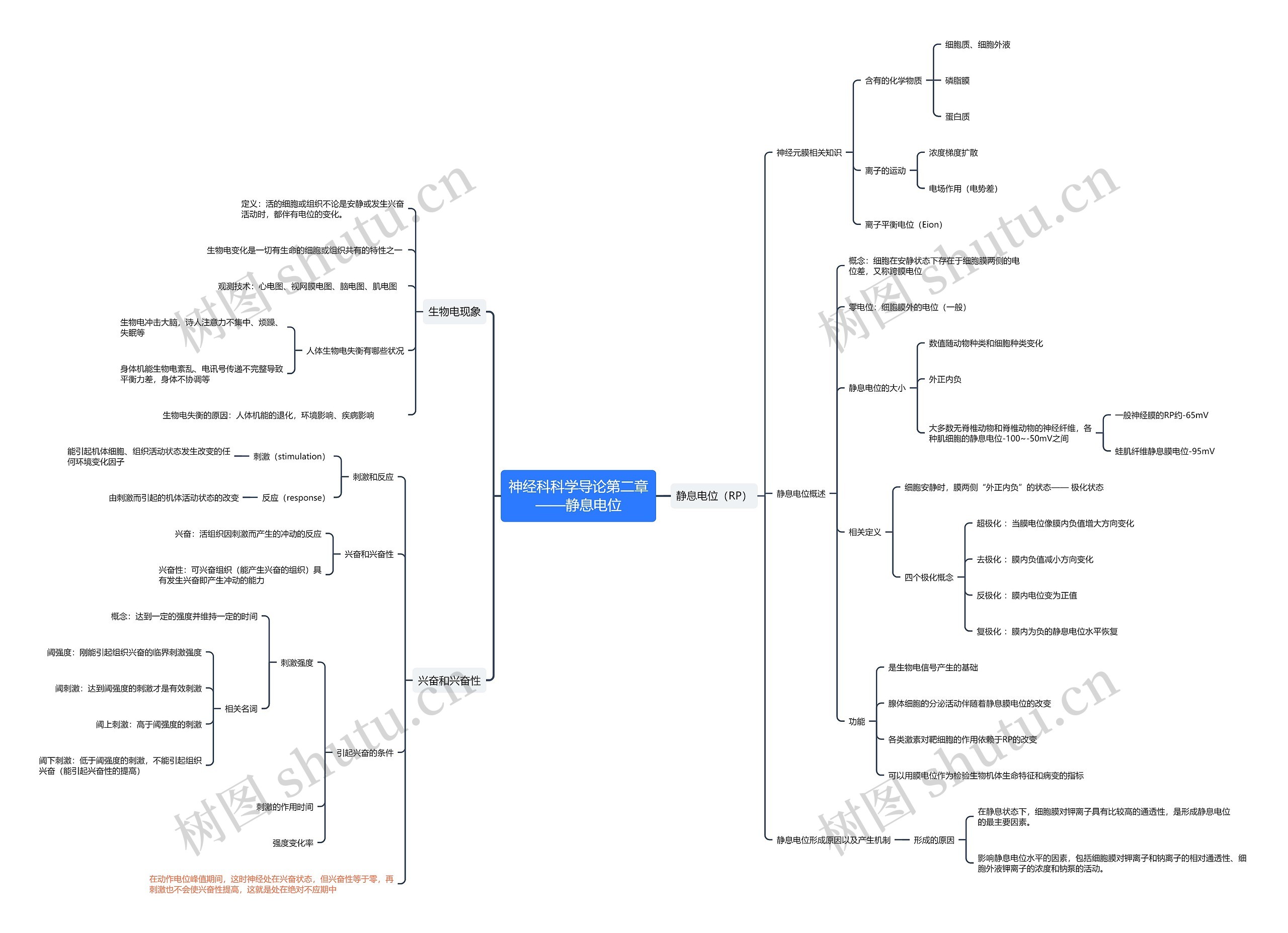 神经科科学导论第二章之静息电位思维导图