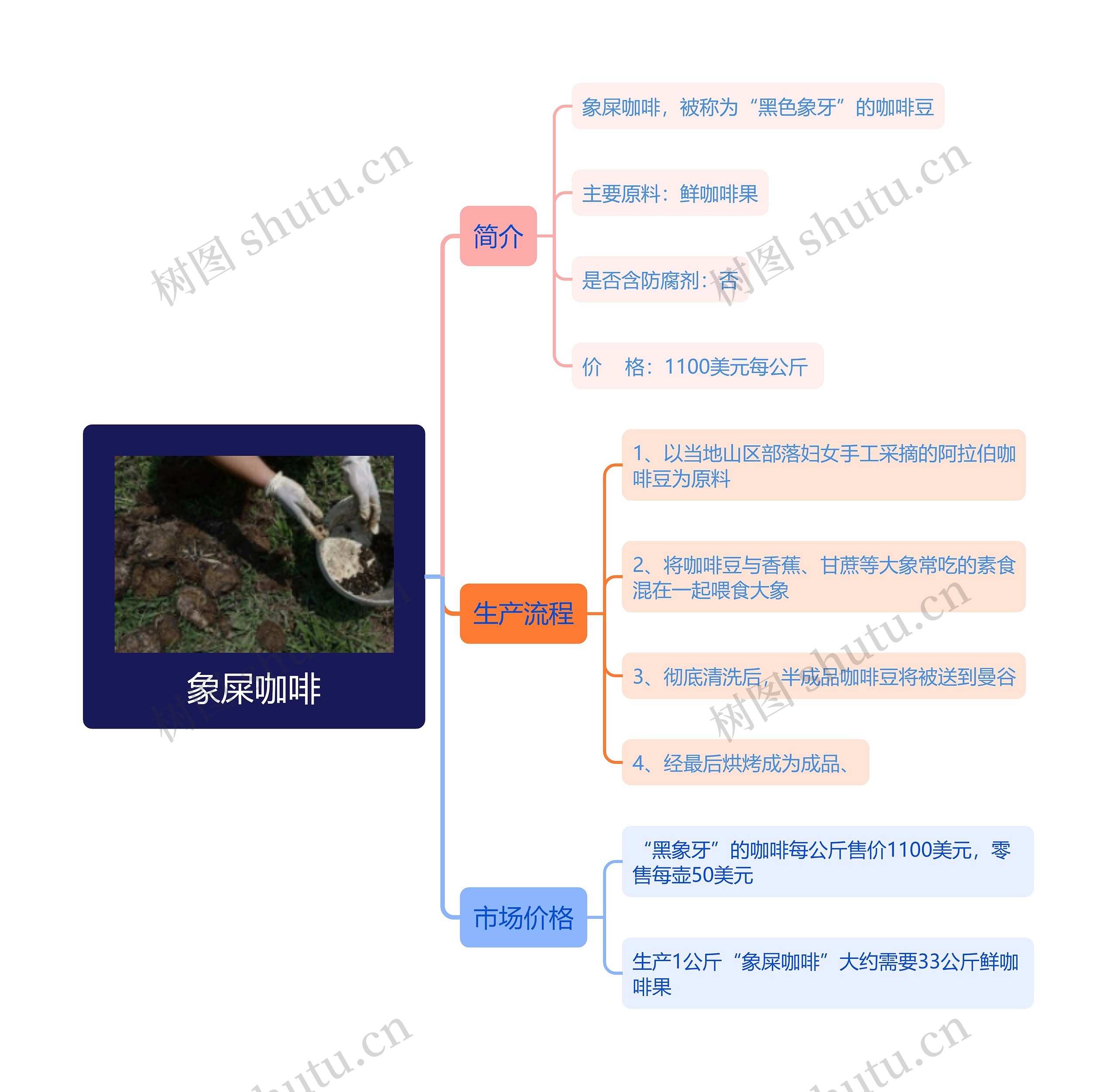 象屎咖啡思维导图