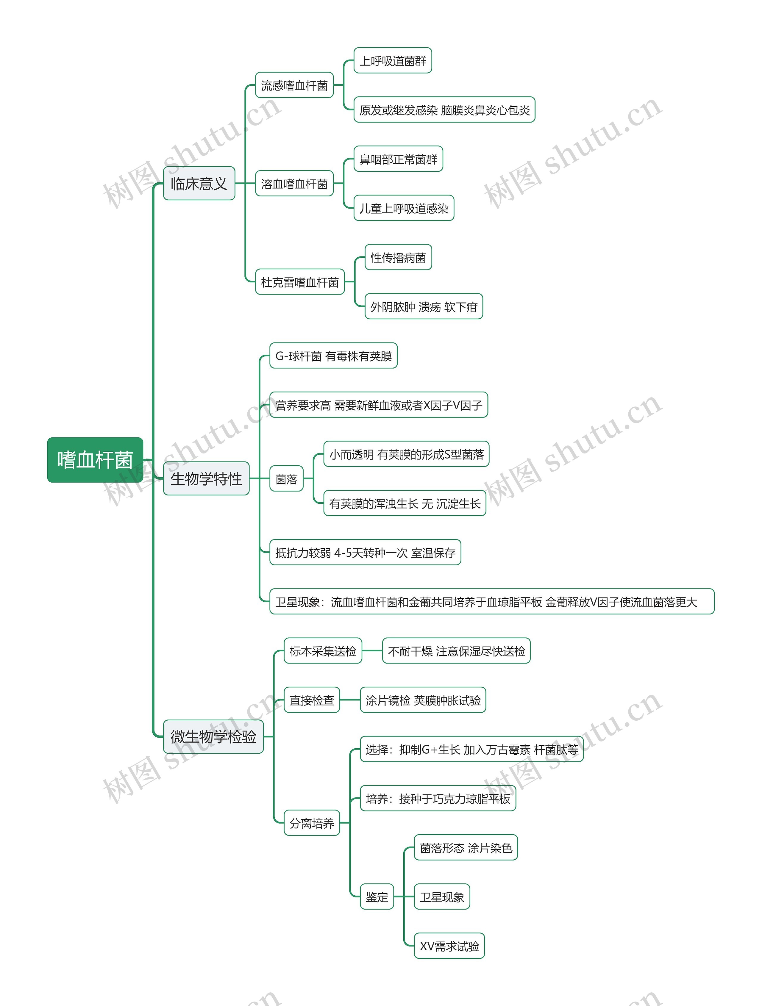 嗜血杆菌思维导图