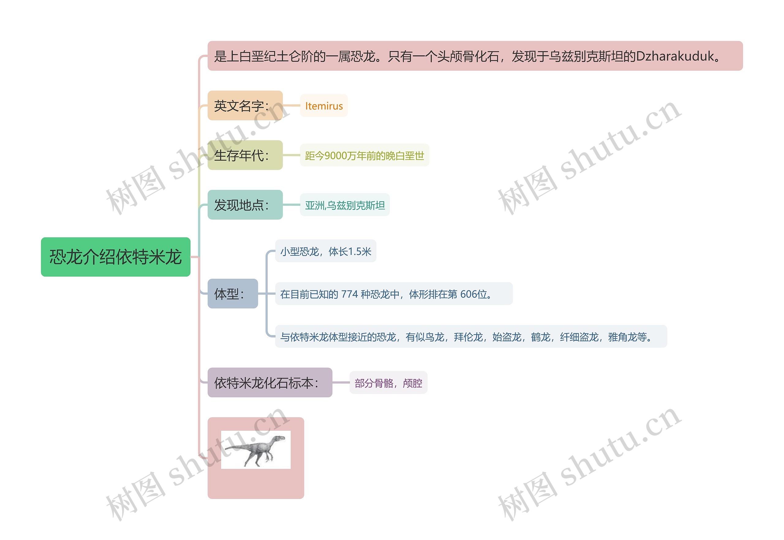 恐龙介绍依特米龙思维导图