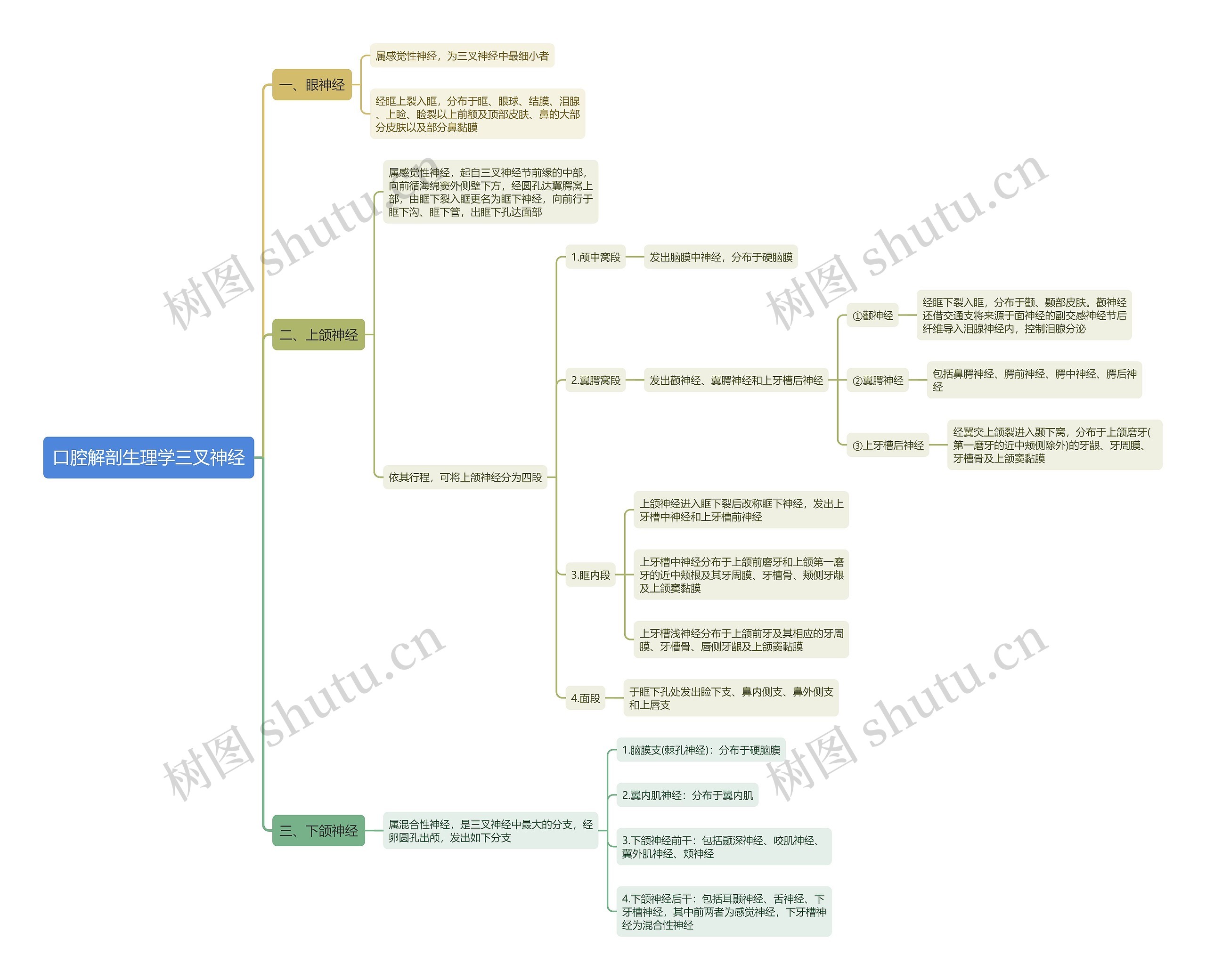 口腔解剖生理学三叉神经思维导图