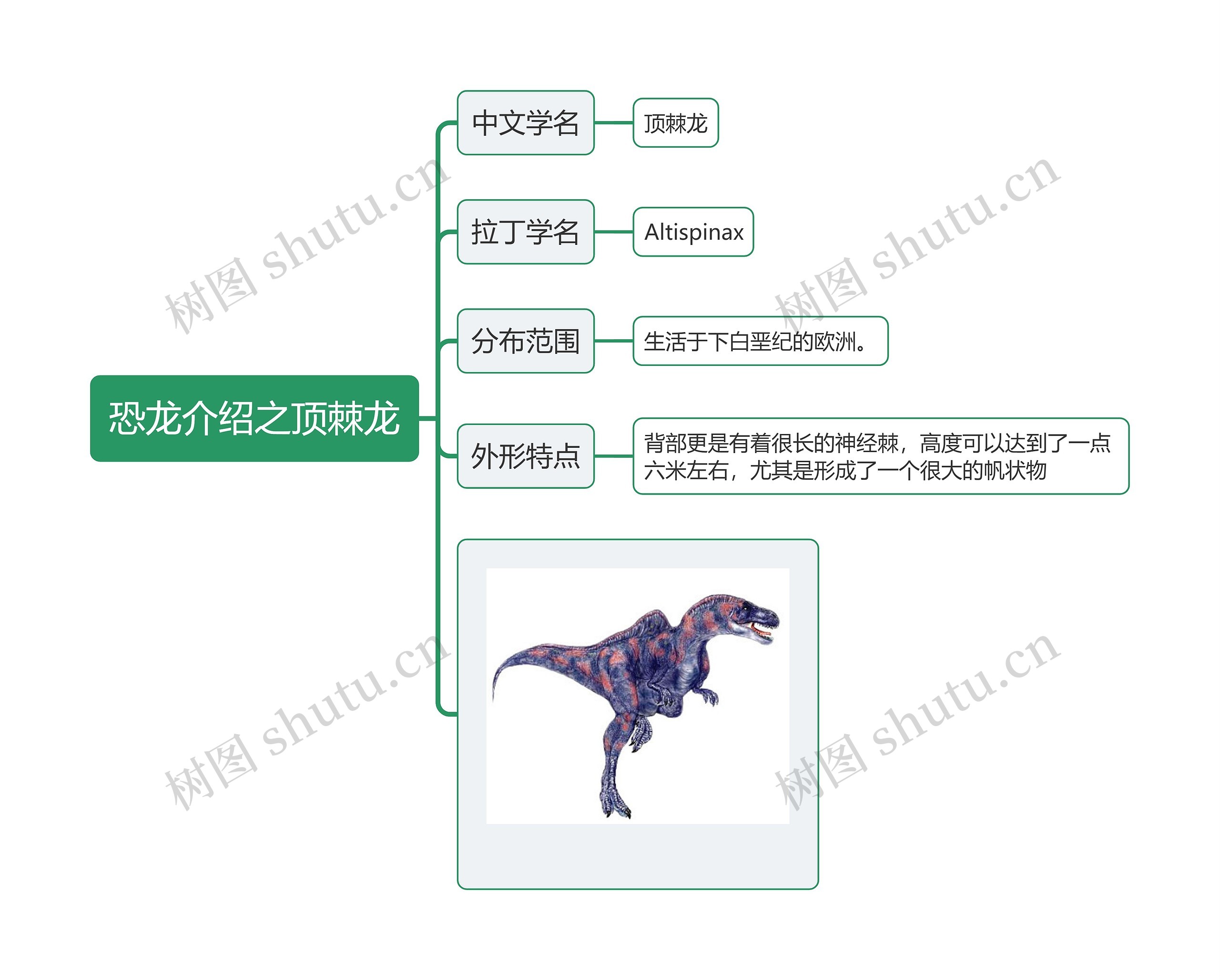 恐龙介绍之顶棘龙思维导图