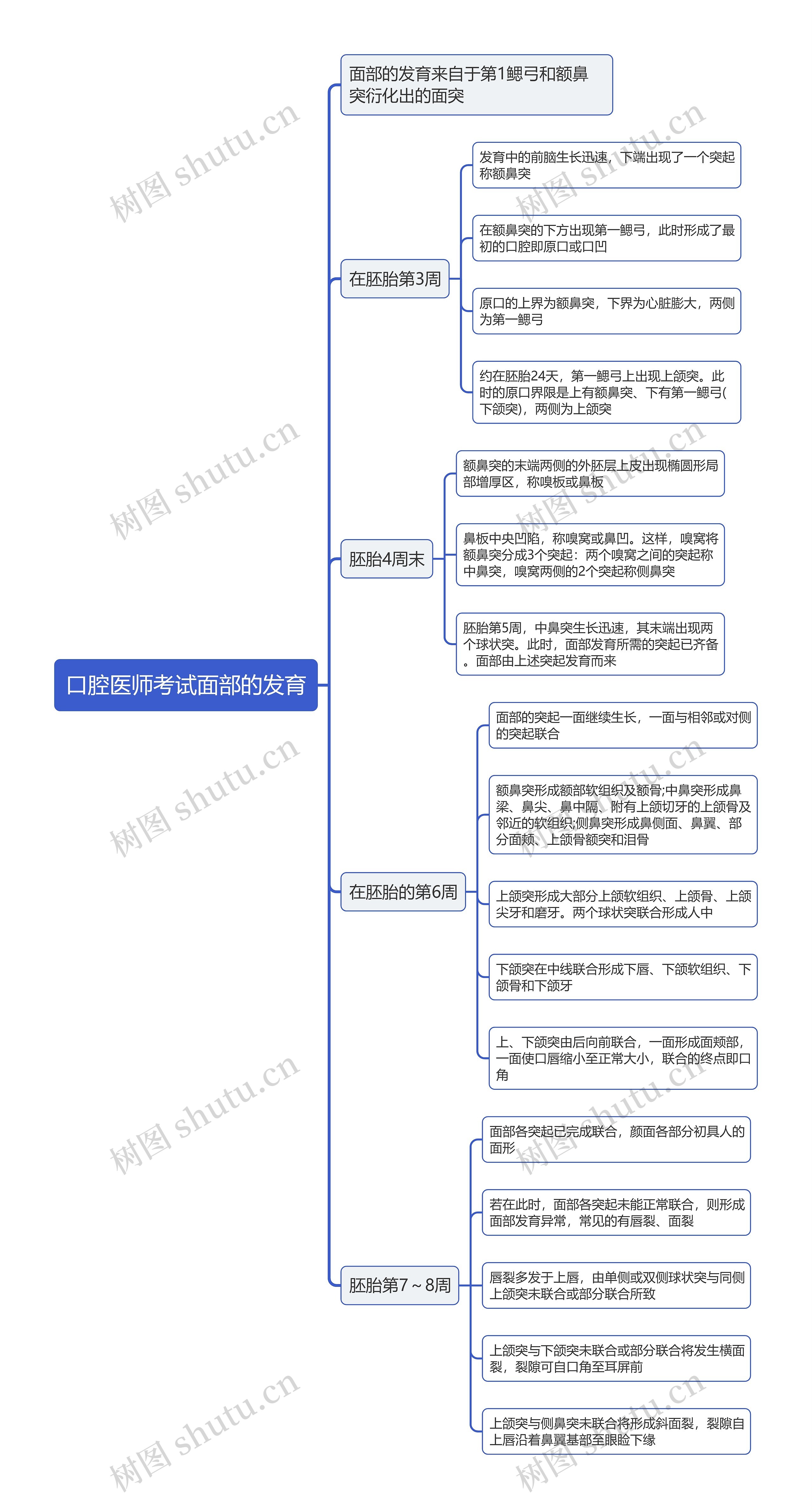 口腔医师考试面部的发育思维导图