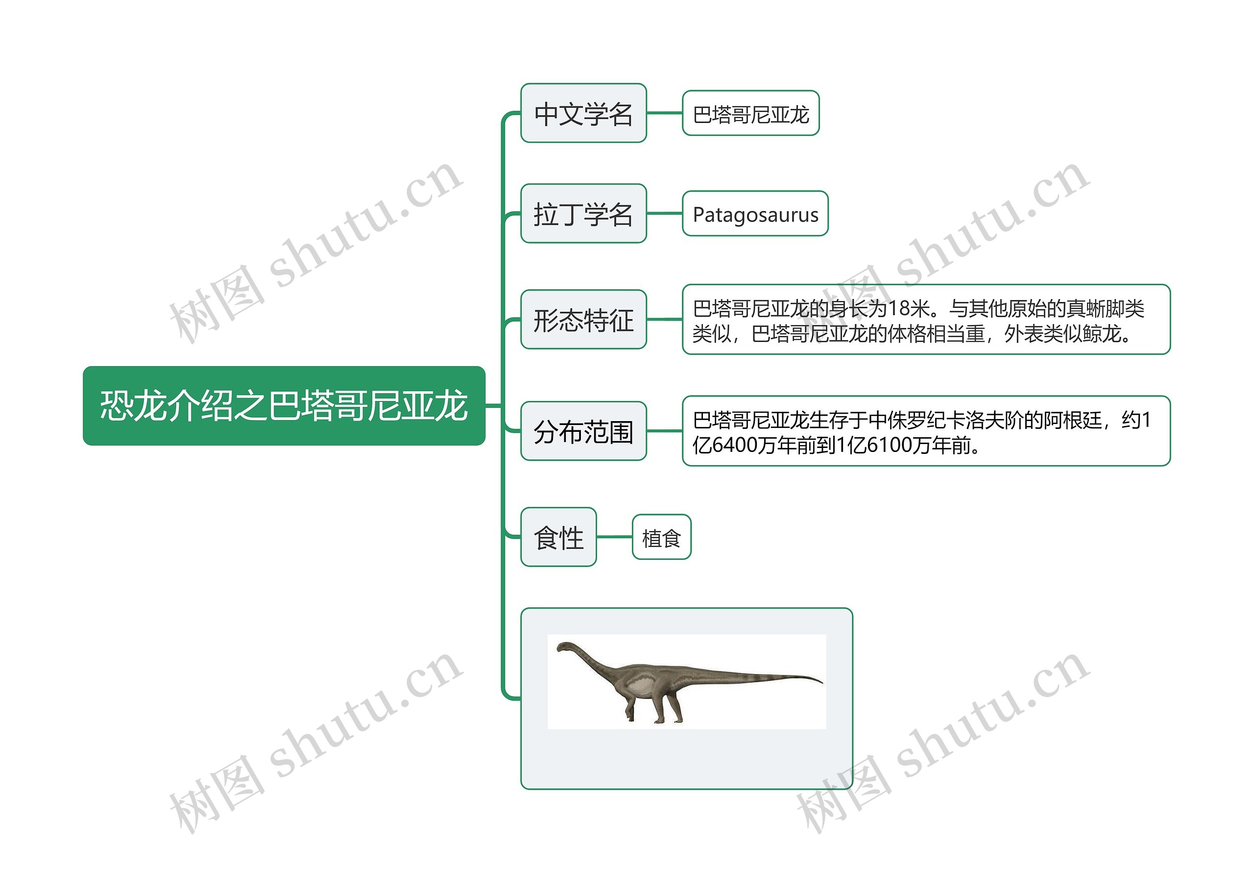 恐龙介绍之巴塔哥尼亚龙思维导图