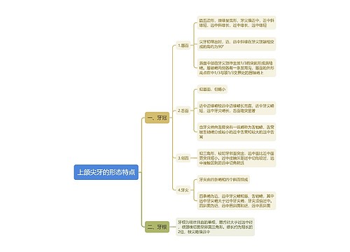 上颌尖牙的形态特点思维导图