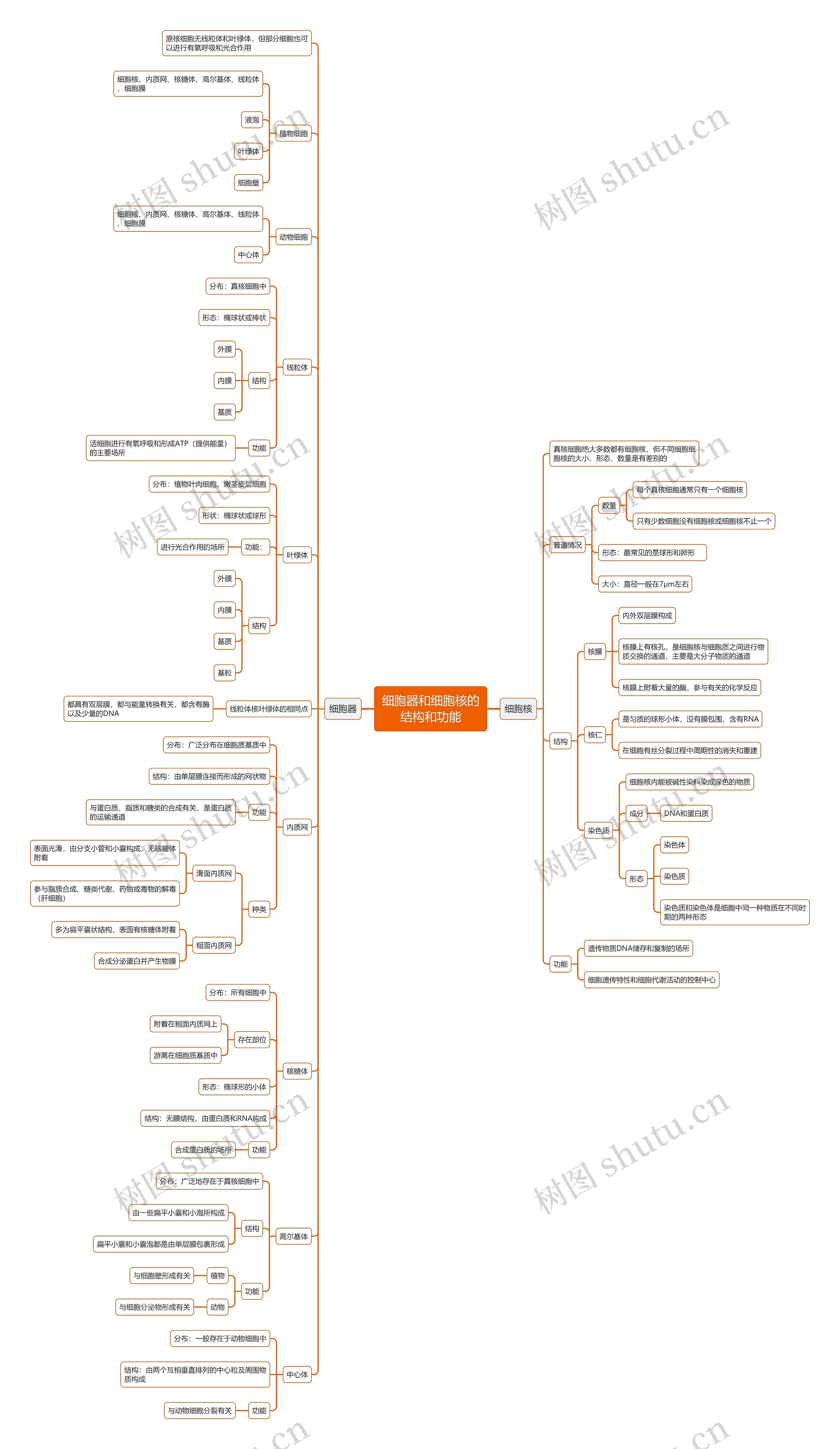 细胞器和细胞核的结构和功能思维导图