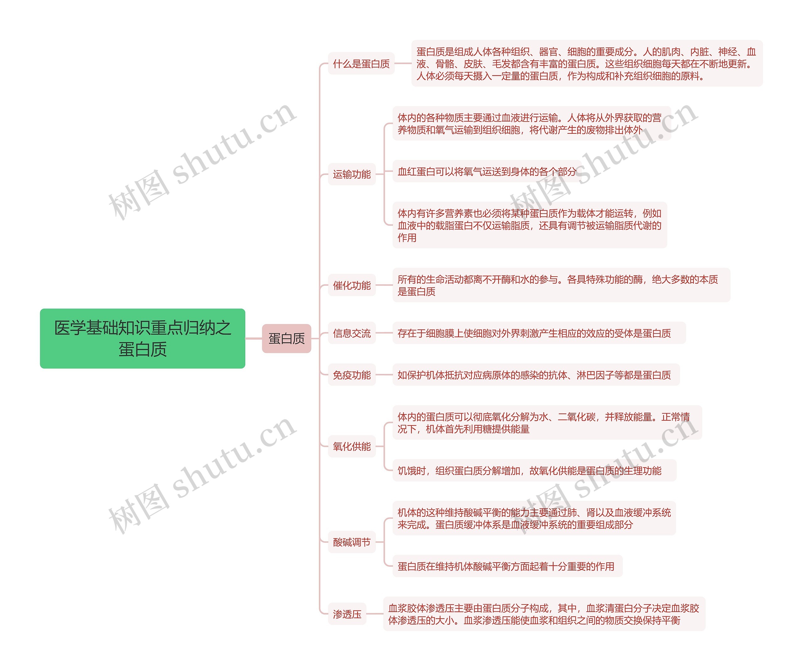 医学基础知识重点归纳之蛋白质