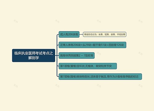 临床执业医师考试考点之解剖学