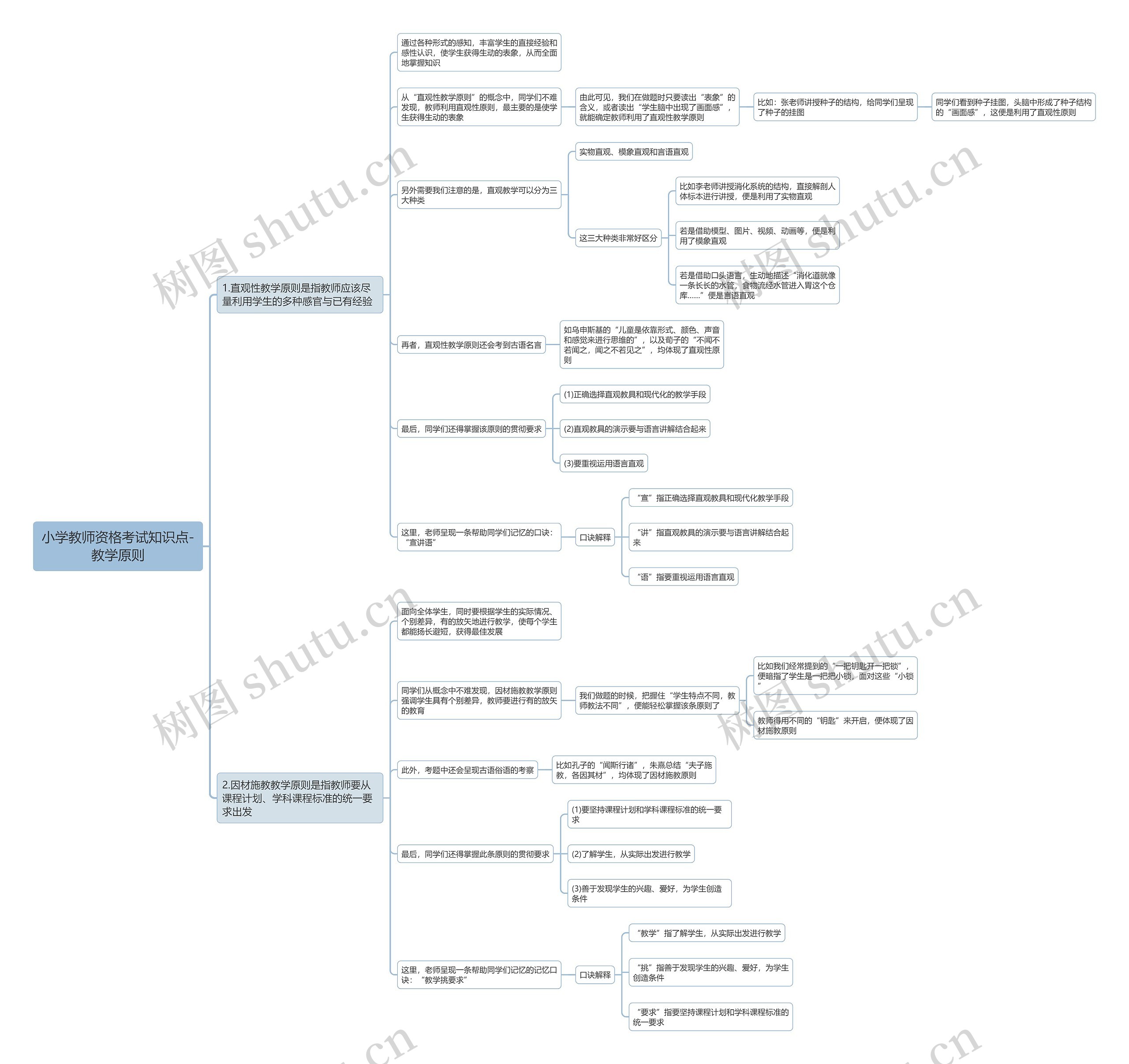 小学教师资格考试知识点-教学原则思维导图