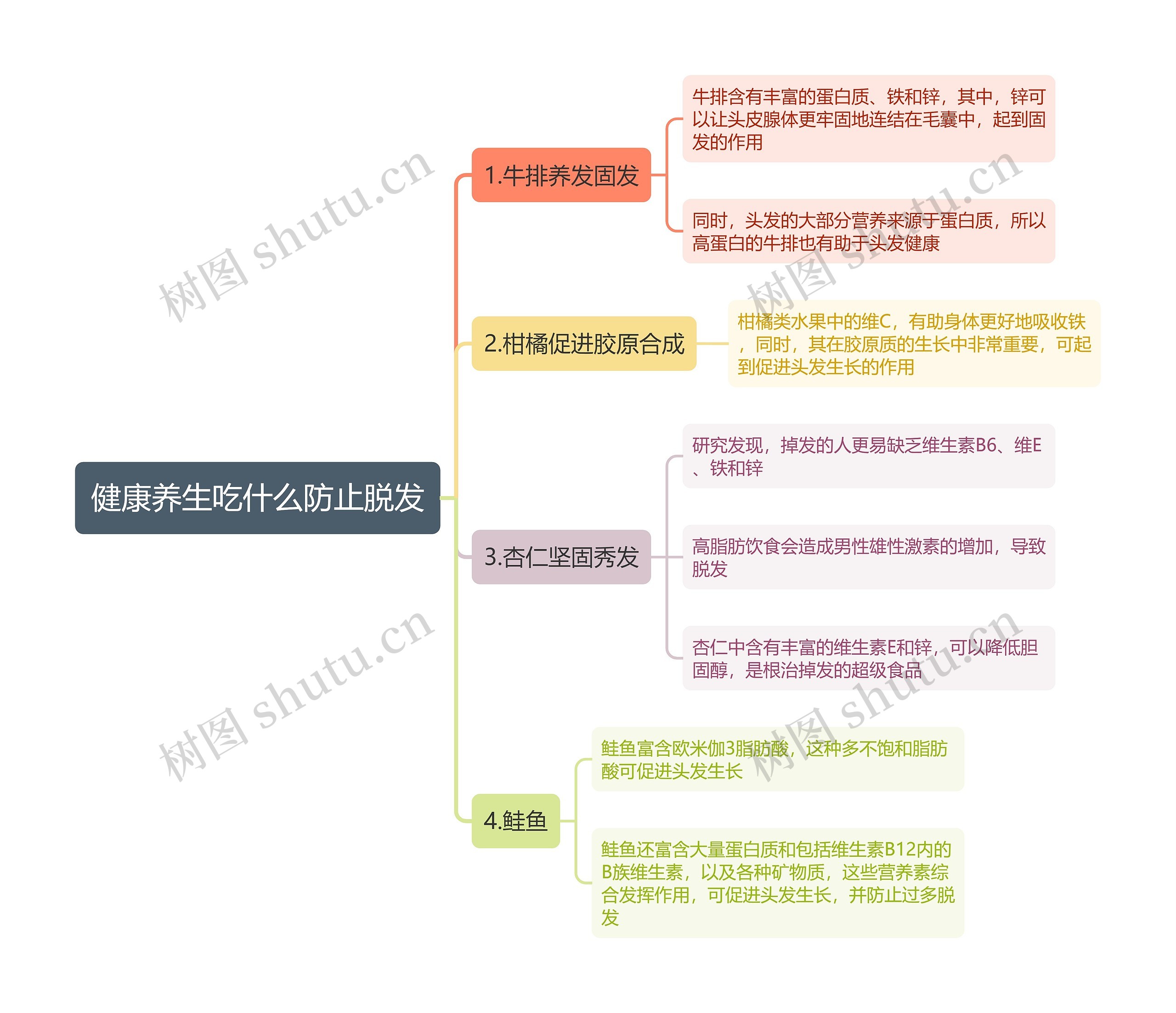 健康养生吃什么防止脱发思维导图