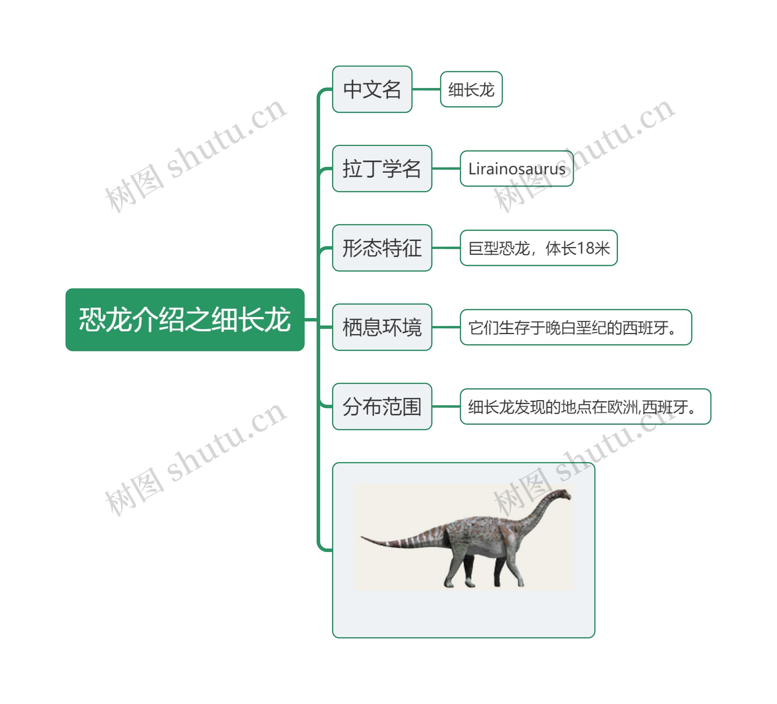 恐龙介绍之细长龙思维导图