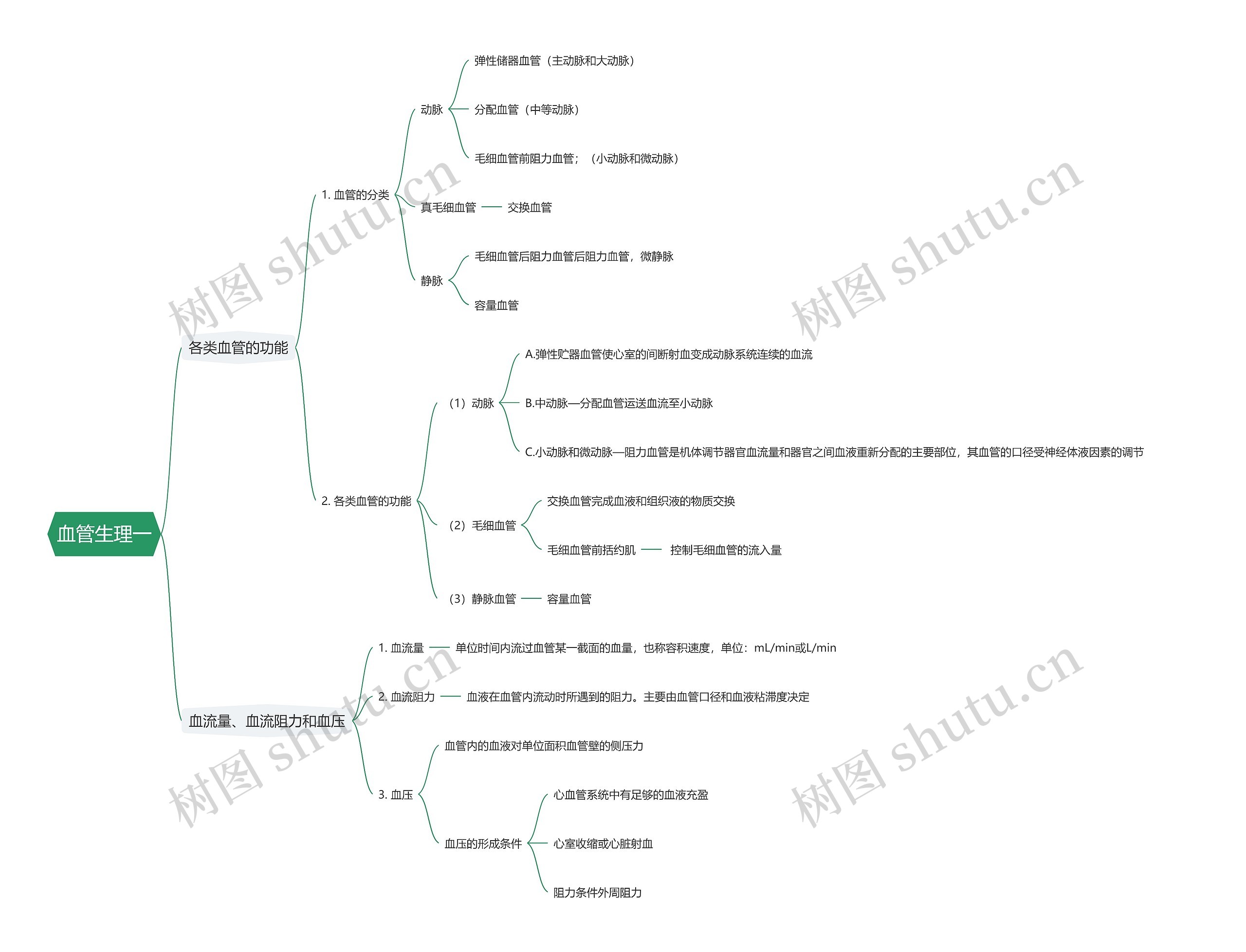 血管生理一思维导图