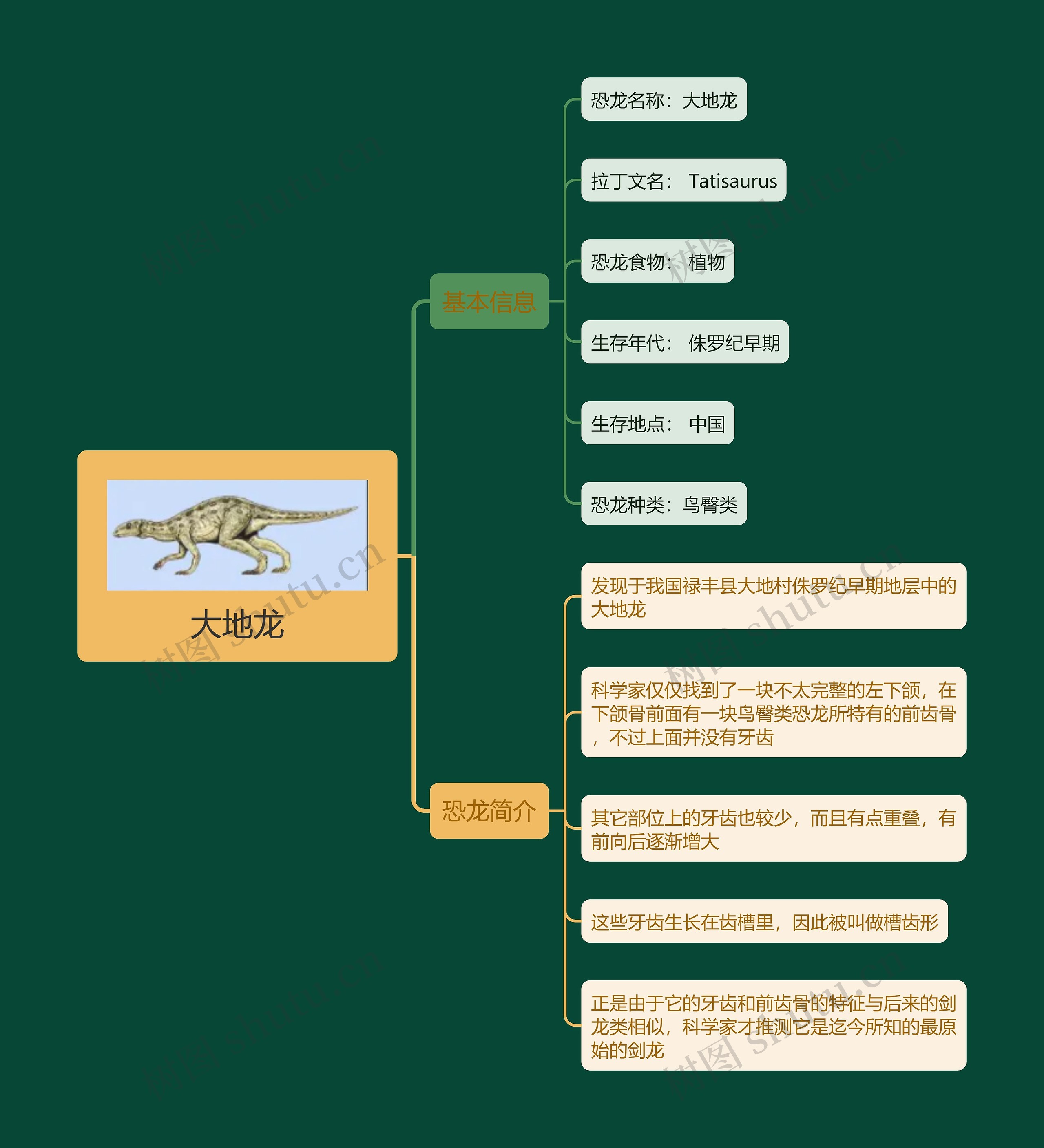 大地龙思维导图