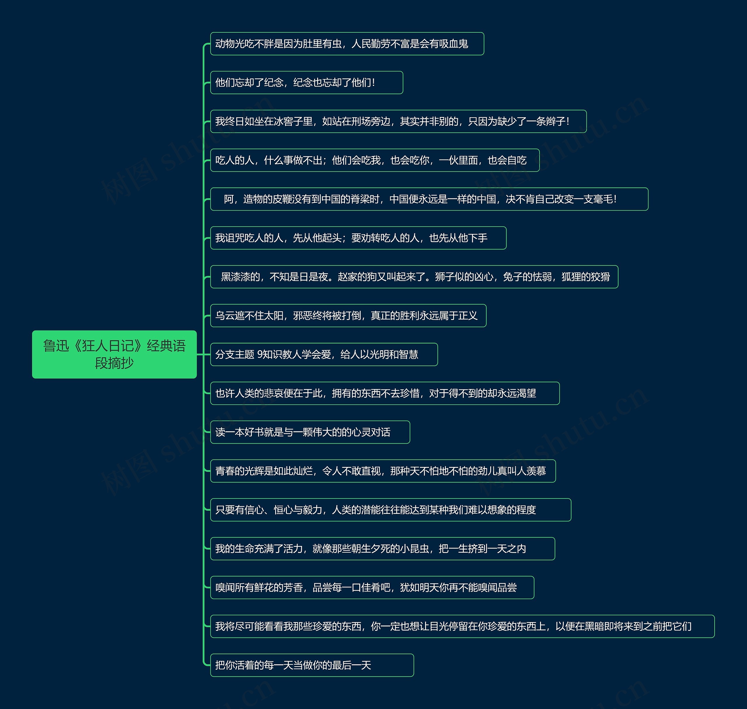 鲁迅《狂人日记》经典语段摘抄思维导图