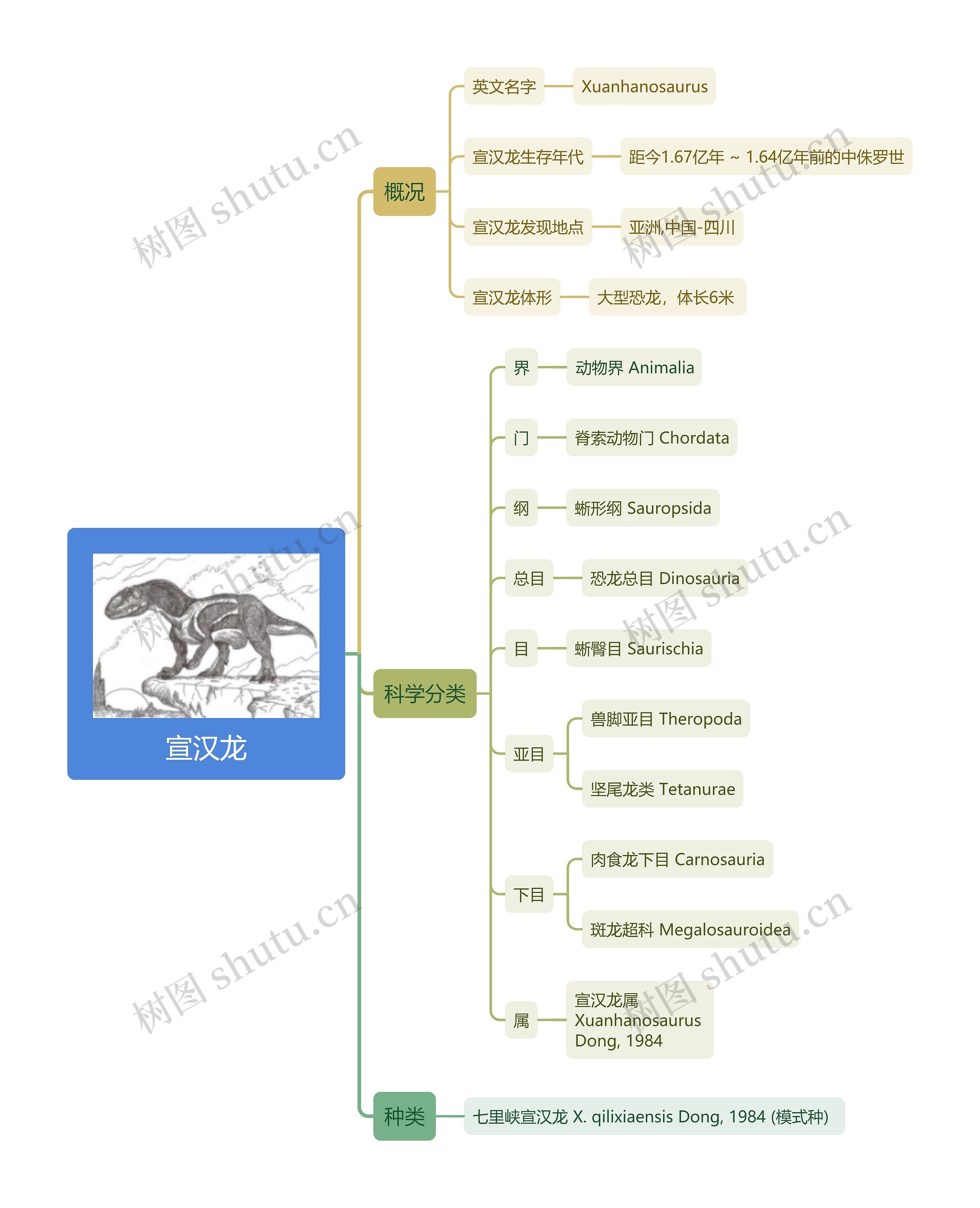 宣汉龙思维导图