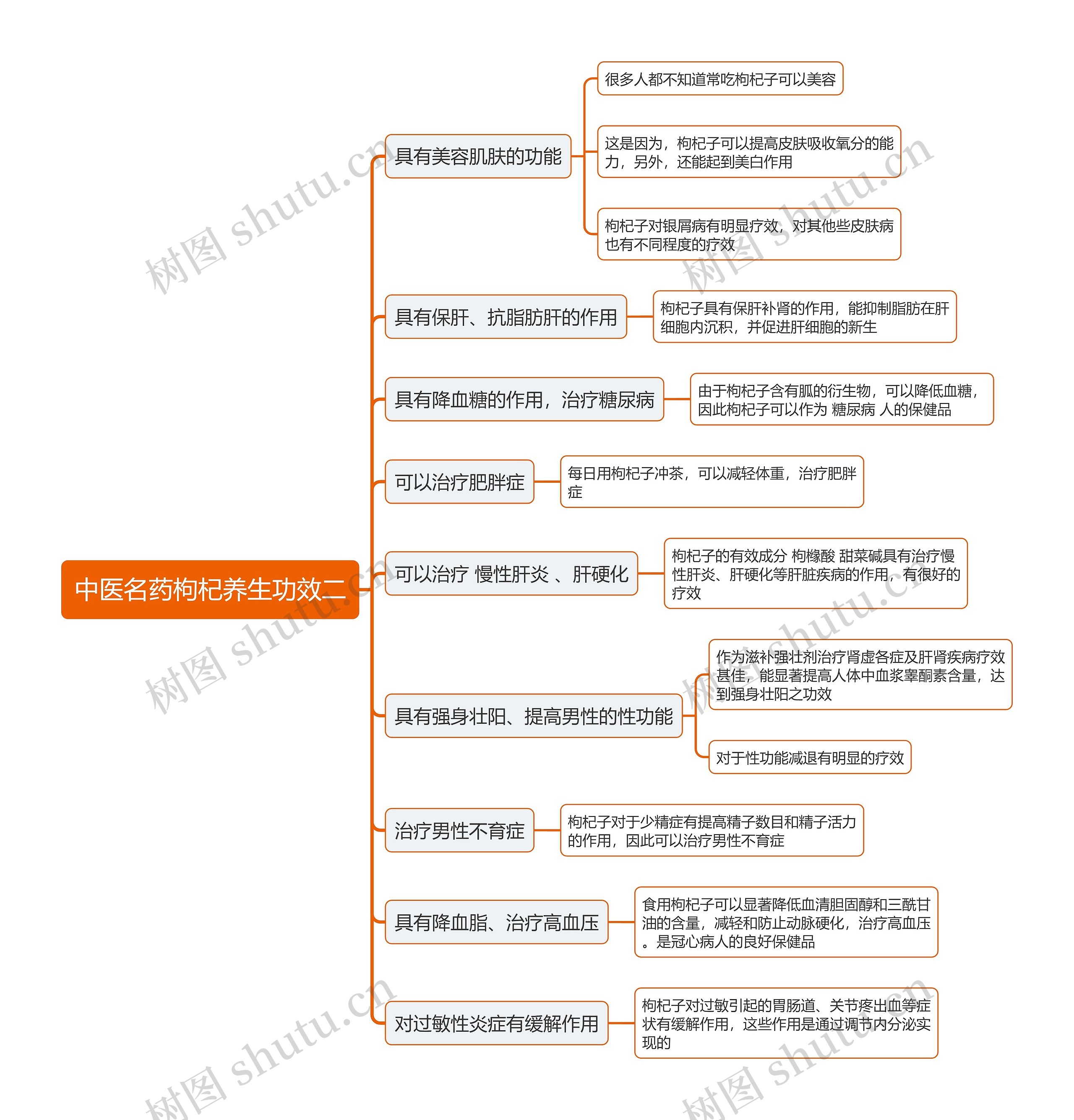 中医名药枸杞养生功效二思维导图