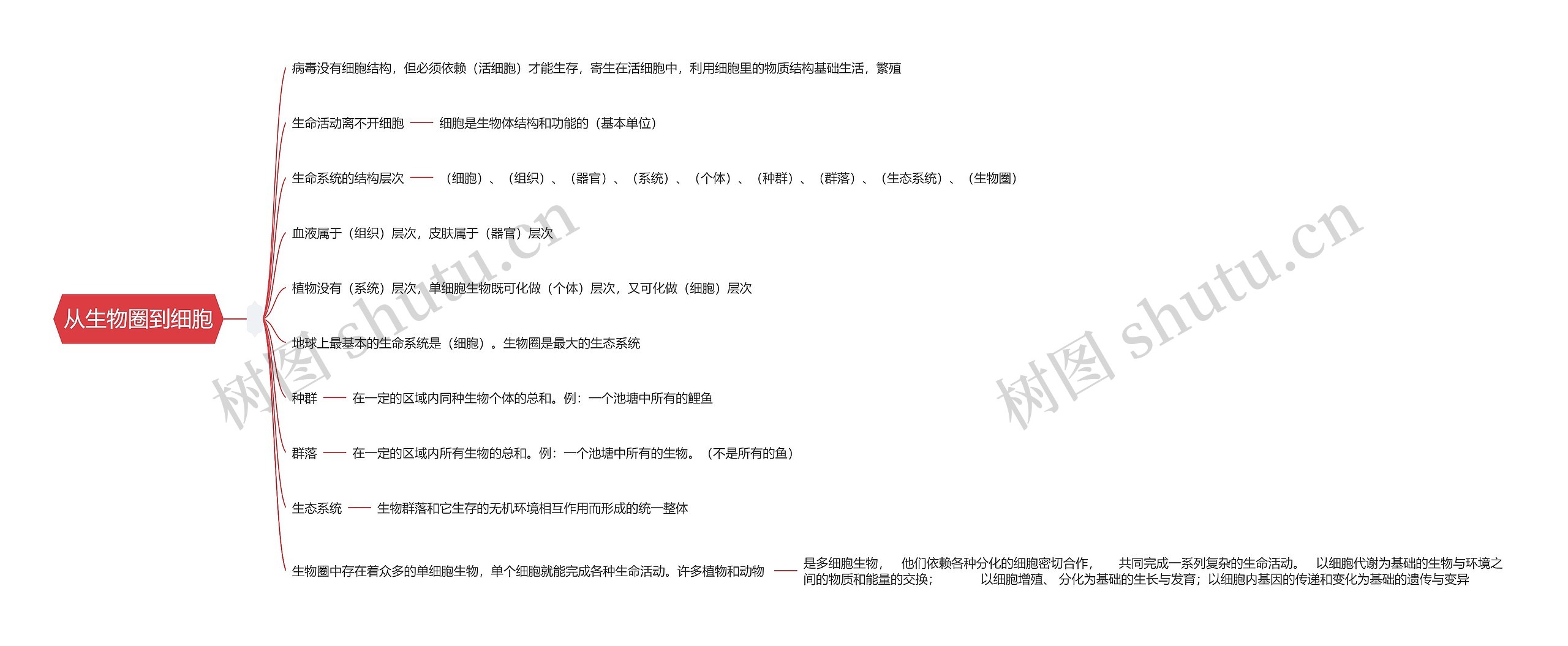 从生物圈到细胞思维导图