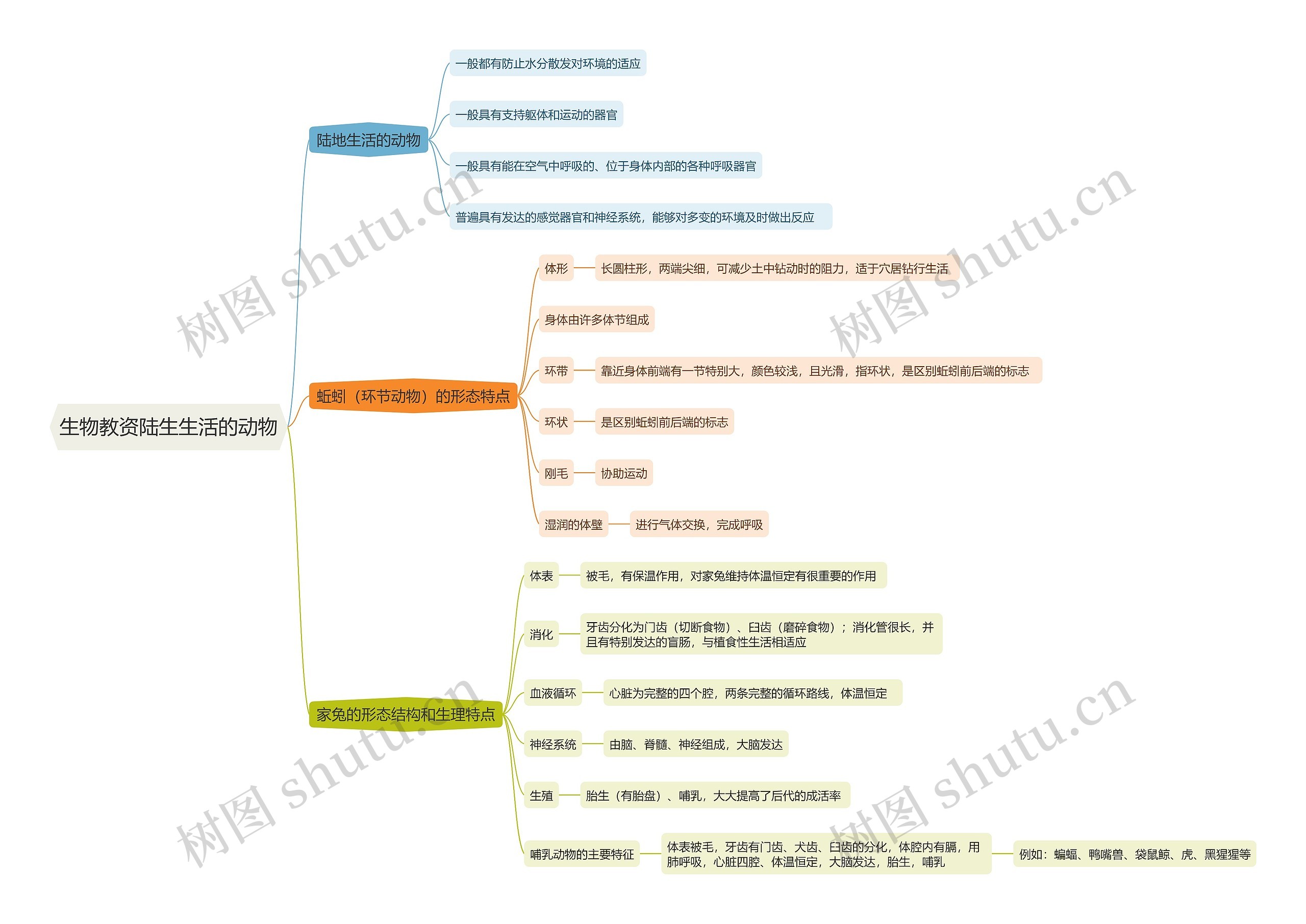生物教资陆生生活的动物思维导图