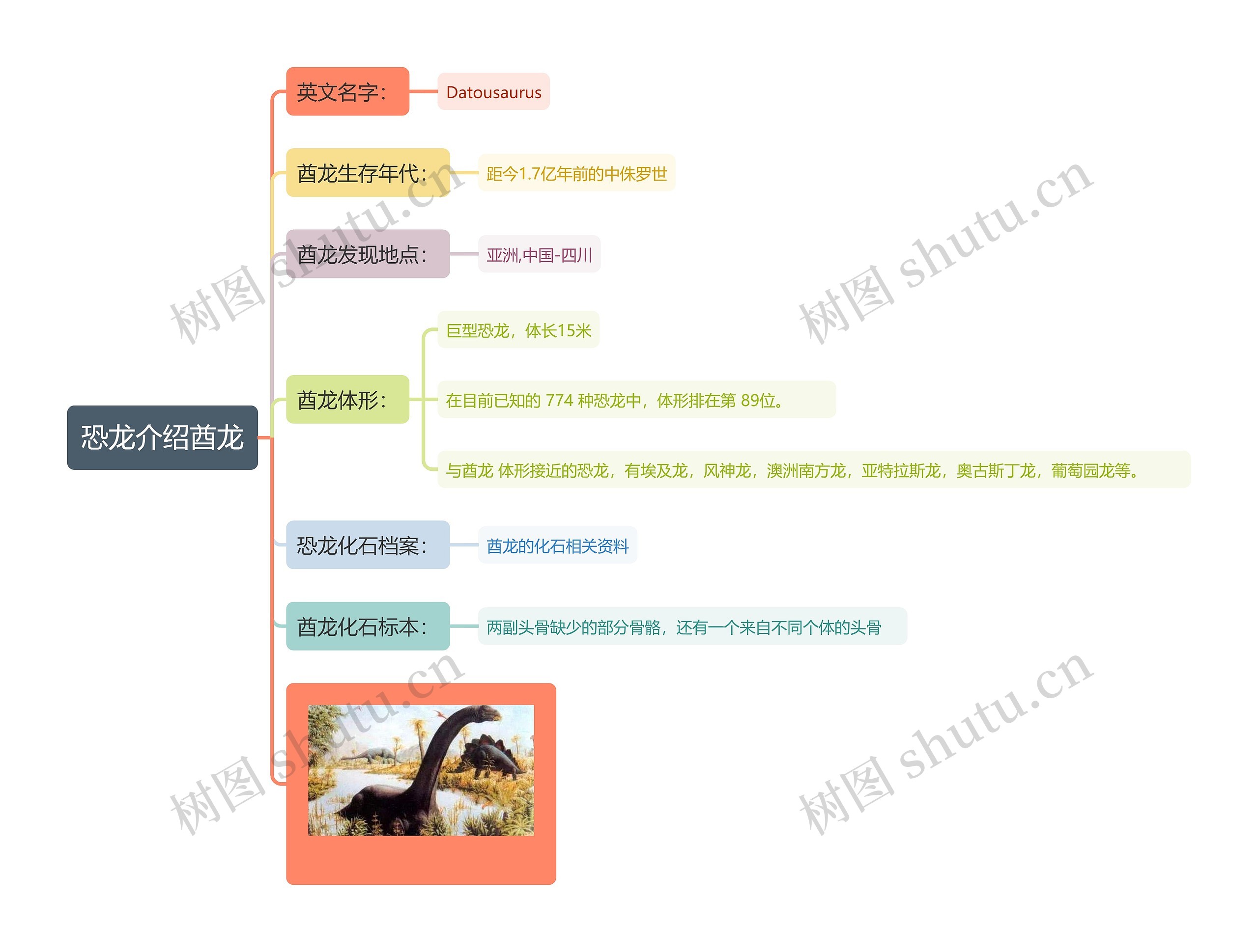 恐龙介绍酋龙